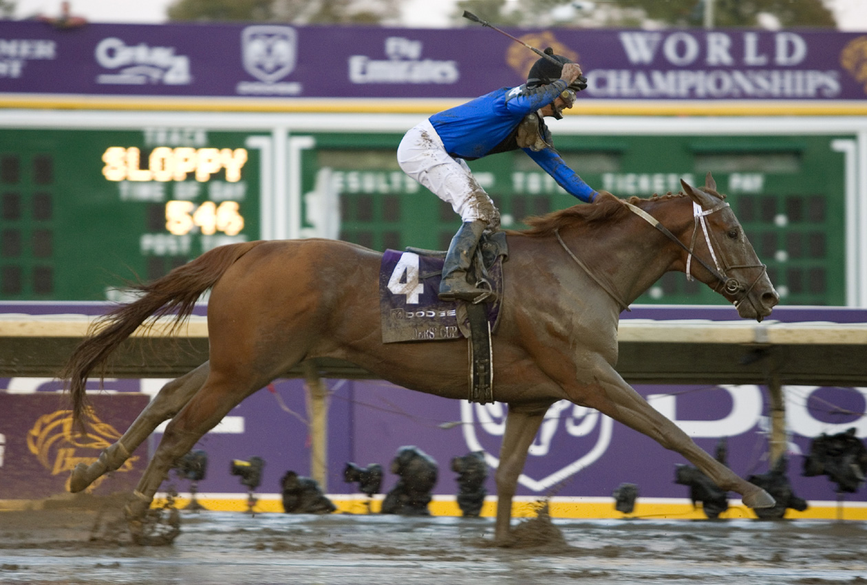 Curlin wins the 2007 Breeders' Cup Classic at Monmouth Park (Barbara D. Livingston/Museum Collection)