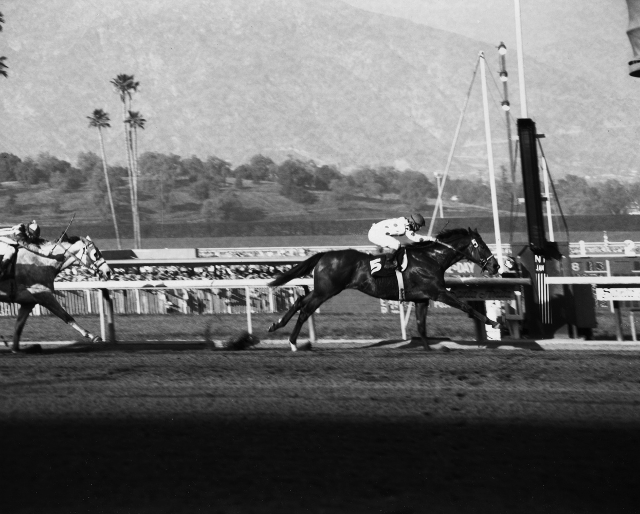 Damascus (Bill Shoemaker up) winning the 1968 San Fernando at Santa Anita Park (Santa Anita Photo/Museum Collection)