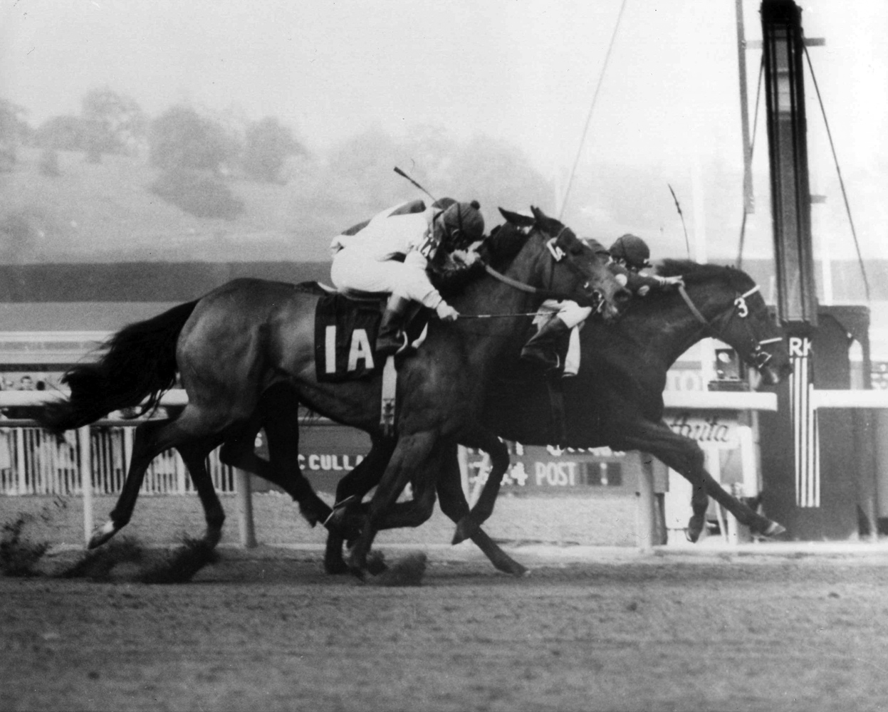 Dark Mirage (Eddie Belmonte up) wins the 1969 Santa Maria Handicap at Santa Anita Park by a nose (Santa Anita Photo/Museum Collection)