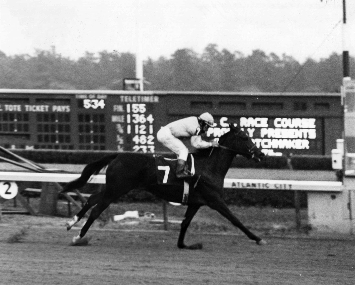 Desert Vixen (Laffit Pincay up) winning the 1974 Matchmaker Stakes at Atlantic City Race Course (Jim Raftery Turfotos/Museum Collection)