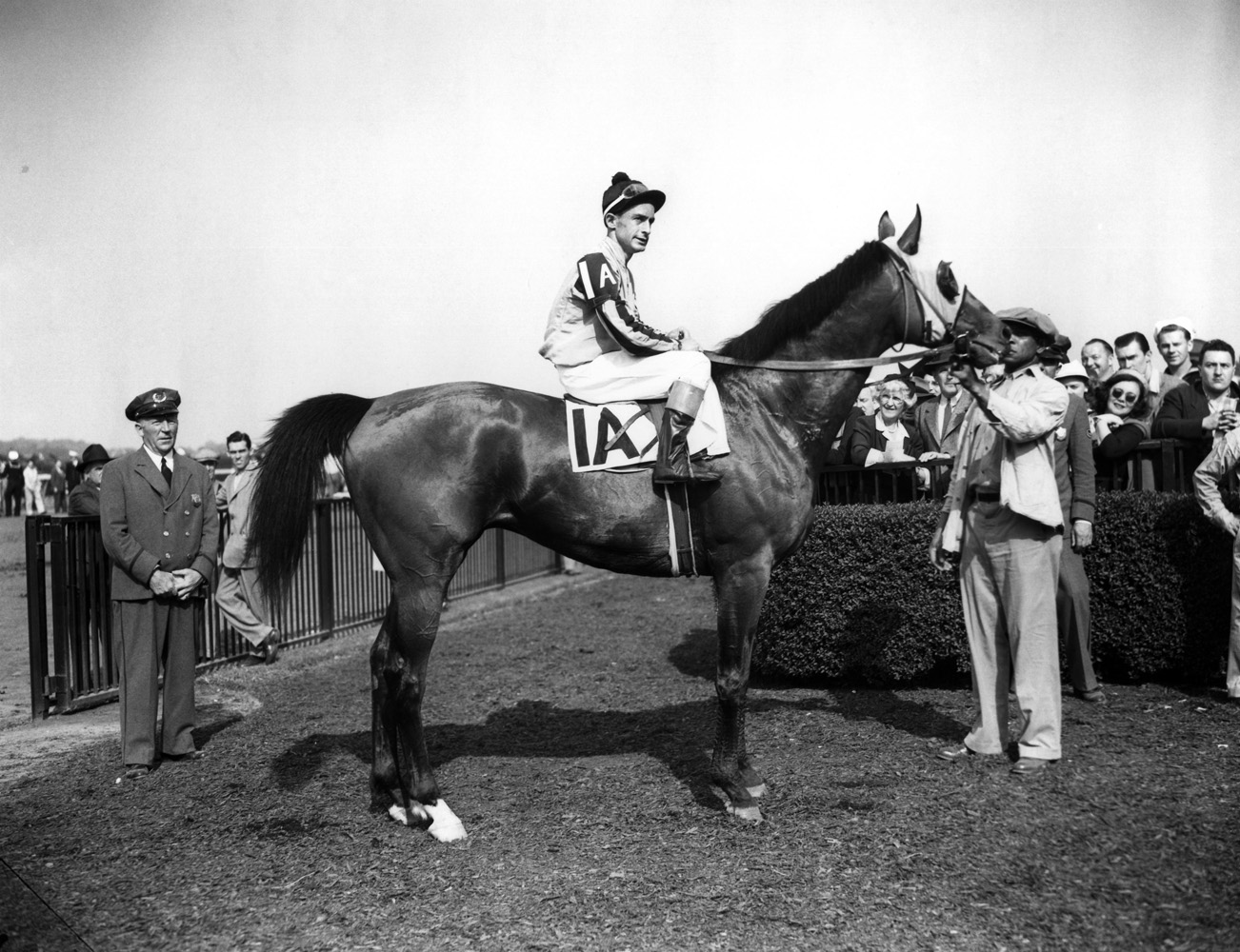 Devil Diver (Ted Atkinson up) in the winner's circle for the 1944 Metropolitan Handicap at Belmont Park (Keeneland Library Morgan Collection/Museum Collection)