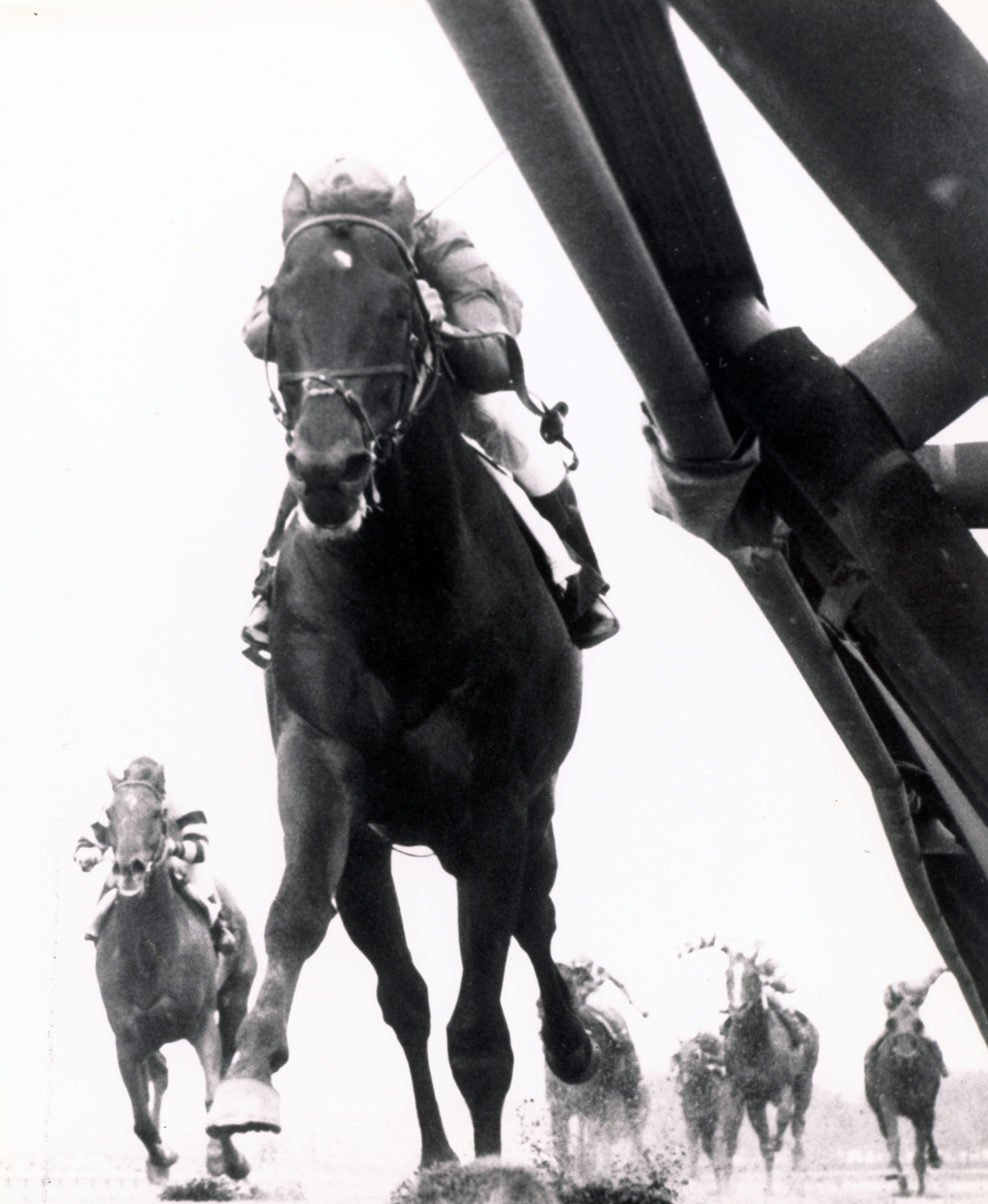 Dr. Fager (Braulio Baeza up) winning the 1968 Vosburgh Handicap at Aqueduct (The BloodHorse/Museum Collection)