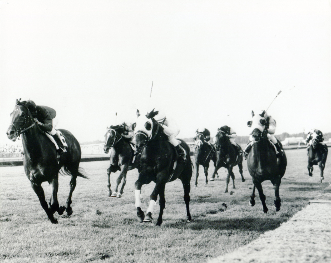 Dr. Fager (Braulio Baeza up) winning the 1968 United Nations Handicap at Atlantic City Race Course (Jim Raftery Turfotos/Museum Collection)