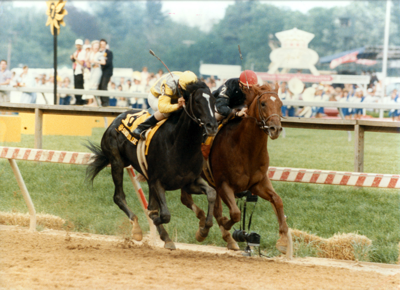 Easy Goer (Pat Day up) dueling Sunday Silence down the stretch in the 1989 Preakness Stakes at Pimlico (Skip Dickstein/Museum Collection)