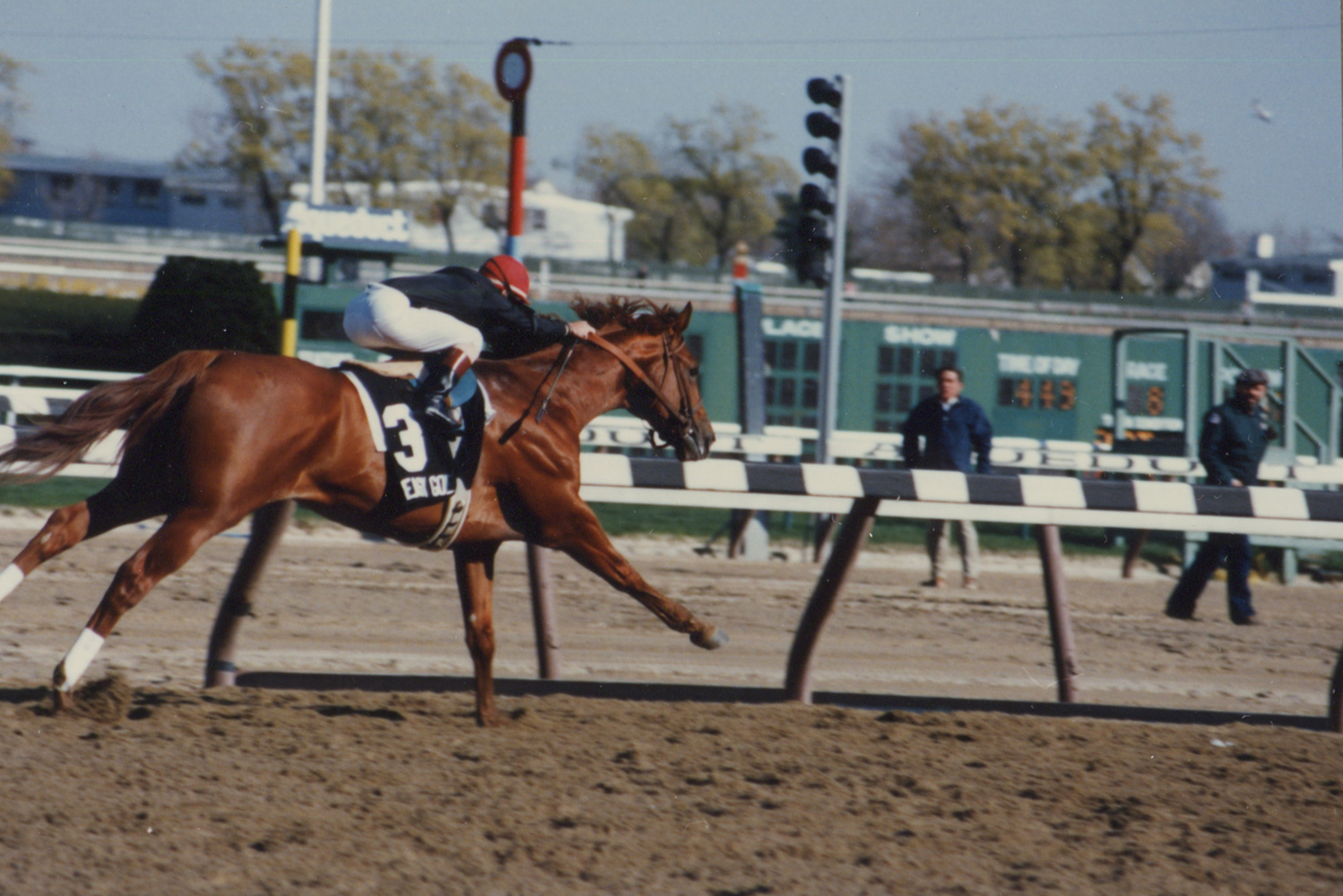 Easy Goer (Pat Day up) after winning the 1989 Wood Memorial at Aqueduct (Mike Pender/Museum Collection)