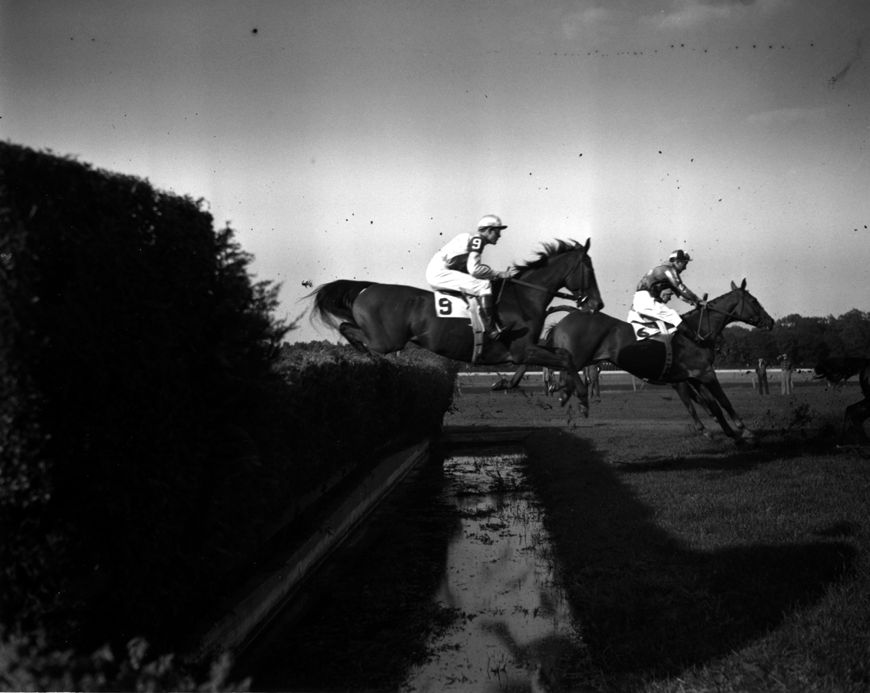 Elkridge (P. Smithwick up) taking a jump in the 1951 Grand National at Belmont Park, his final race (Keeneland Library Morgan Collection/Museum Collection)