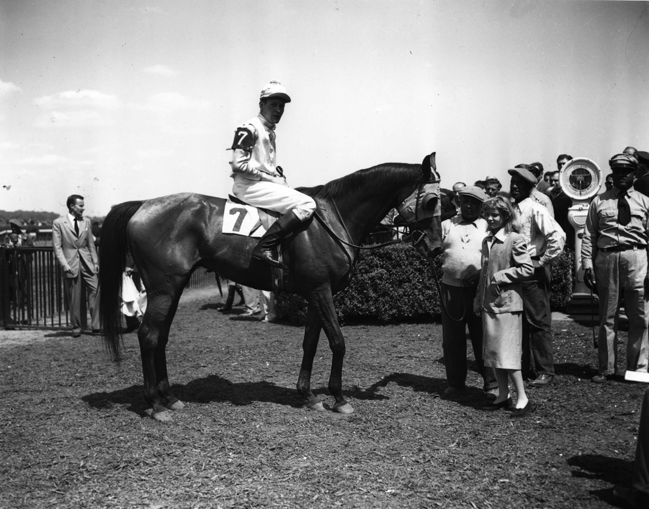 Elkridge (P. Smithwick up) in the winner's circle for the 1949 Meadow Brook Handicap Steeplechase at Belmont Park (Keeneland Library Morgan Collection/Museum Collection)