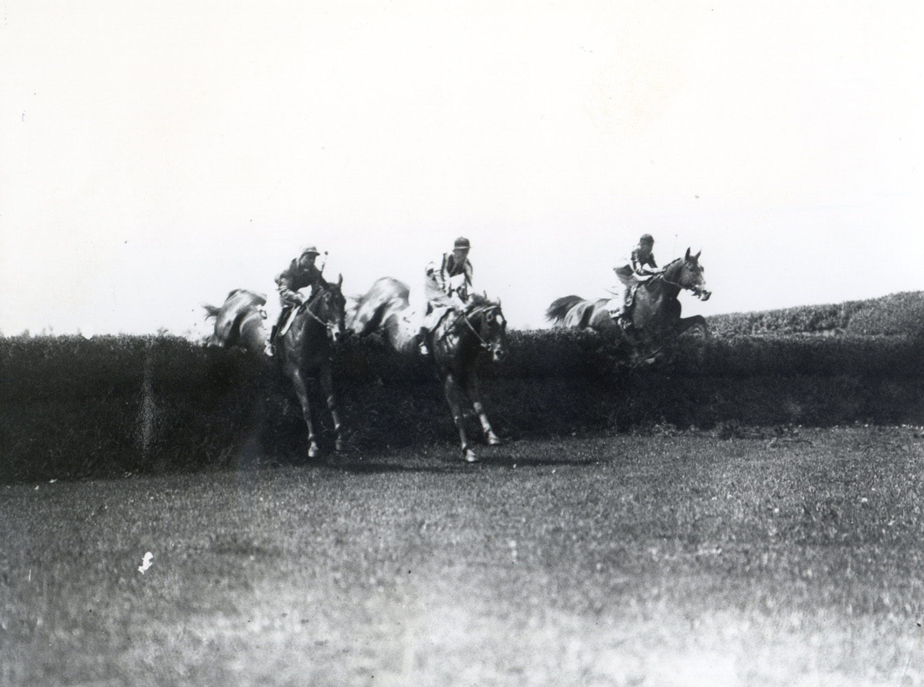 Fairmount, center, in the 1928 Charles Appleton Memorial Steeplechase at Belmont (Keeneland Library Cook Collection/Museum Collection)