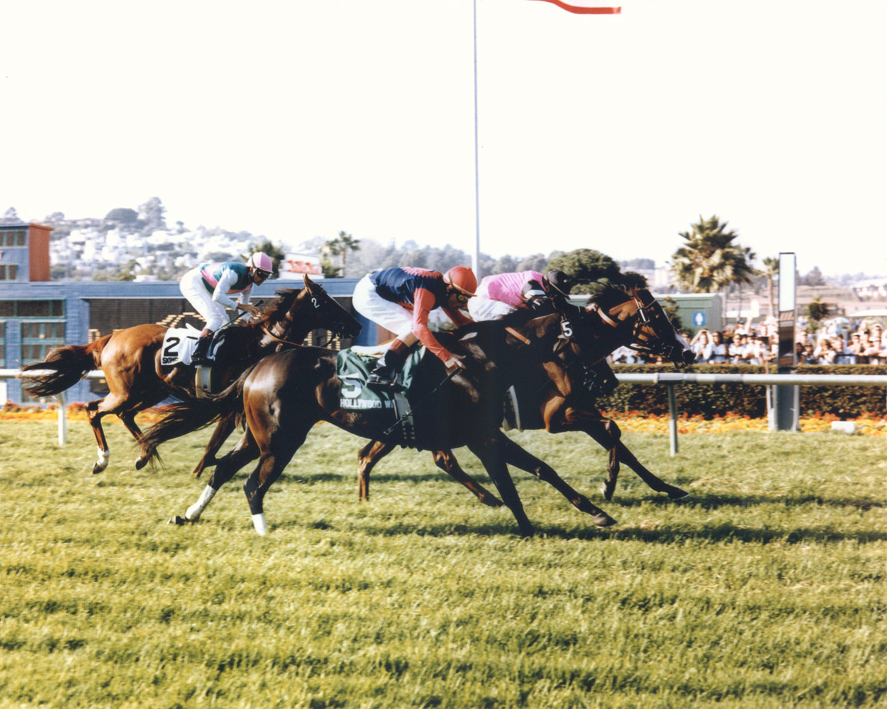 Flawlessly (Chris McCarron up) winning her third consecutive Ramona Handicap by a head in 1994 (Del Mar Thoroughbred Club/Museum Collection)
