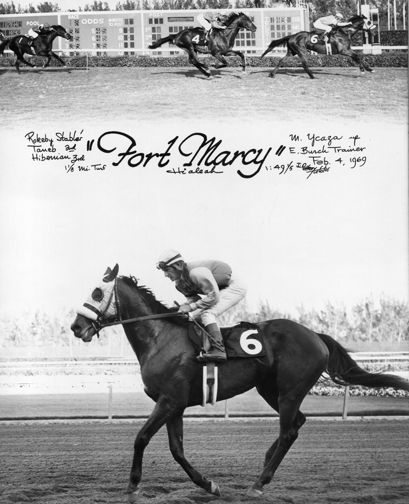 Win composite photograph for a 1969 allowance race at Hialeah Park, won by Fort Marcy (Manuel Ycaza up) (Jim Raftery Turfotos/Museum Collection)