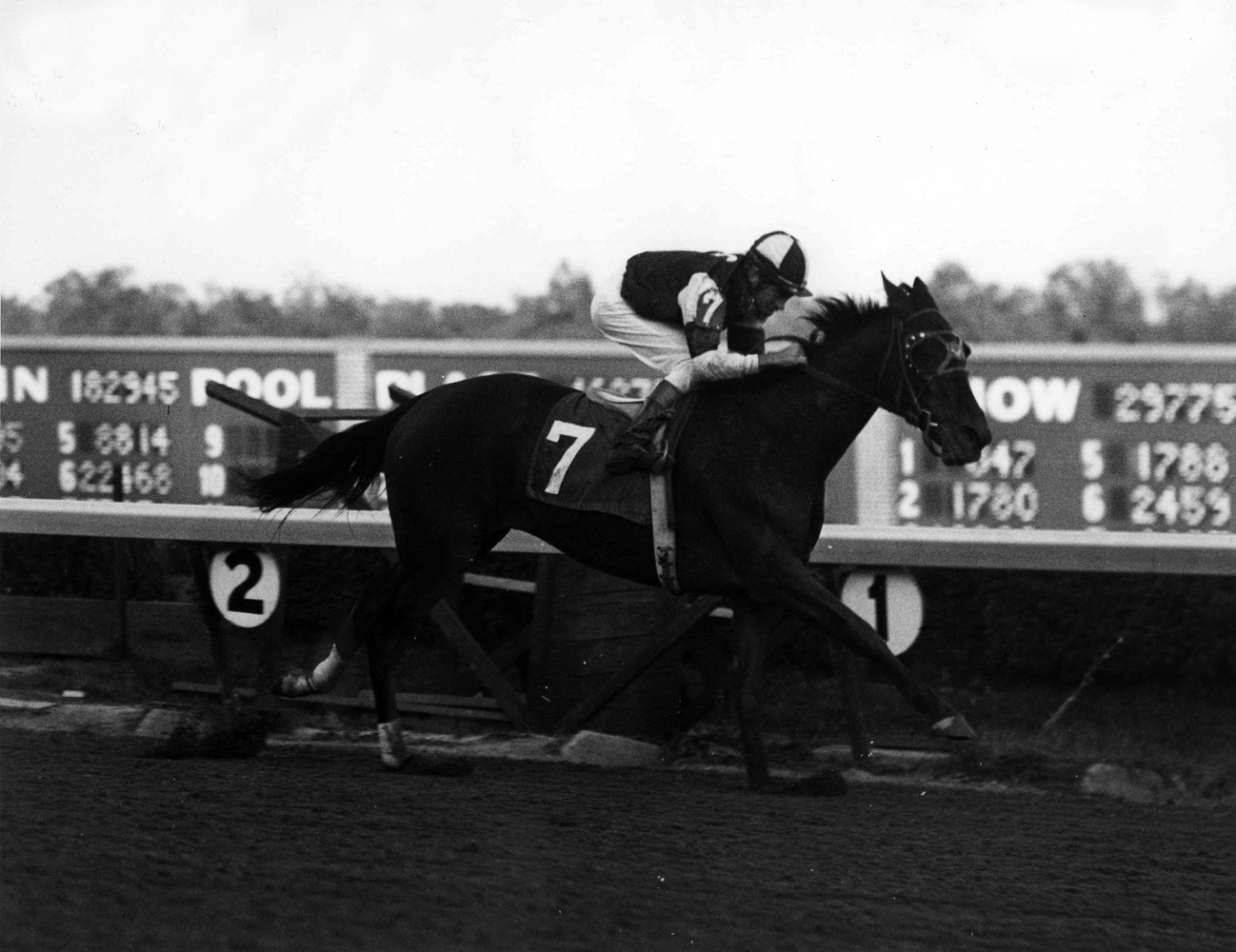 Gallant Bloom (John Rotz up) winning the 1969 Matchmaker Stakes at Atlantic City Race Course (Jim Raftery Turfotos/Museum Collection)