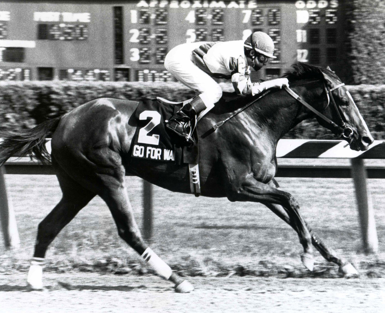 Go for Wand (Randy Romero up) winning the 1990 Test Stakes at Saratoga (NYRA/Museum Collection)