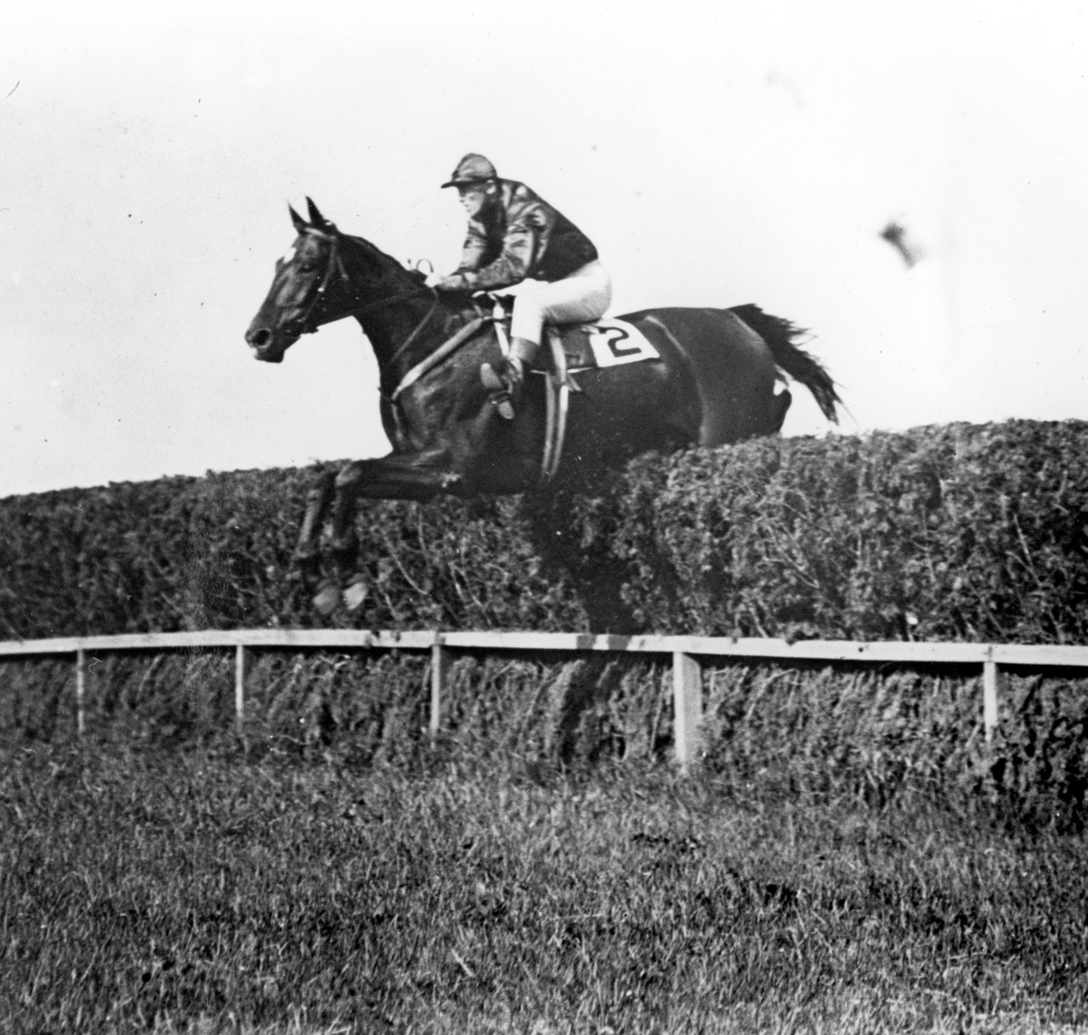 Good And Plenty clearing a jump at Belmont Park, 1905 (Keeneland Library Cook Collection/Museum Collection)