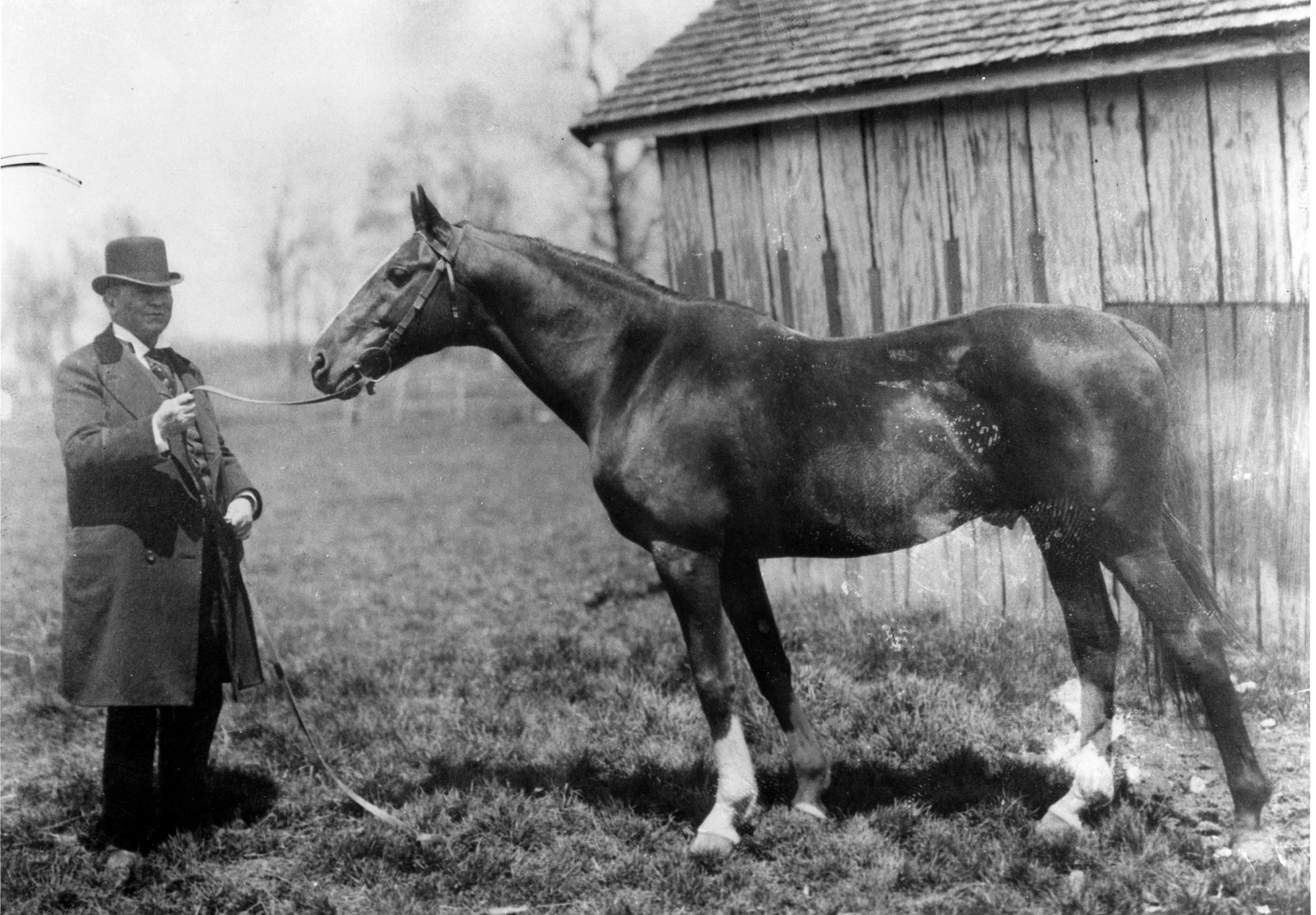 Hanover (Keeneland Library Cook Collection/Museum Collection)