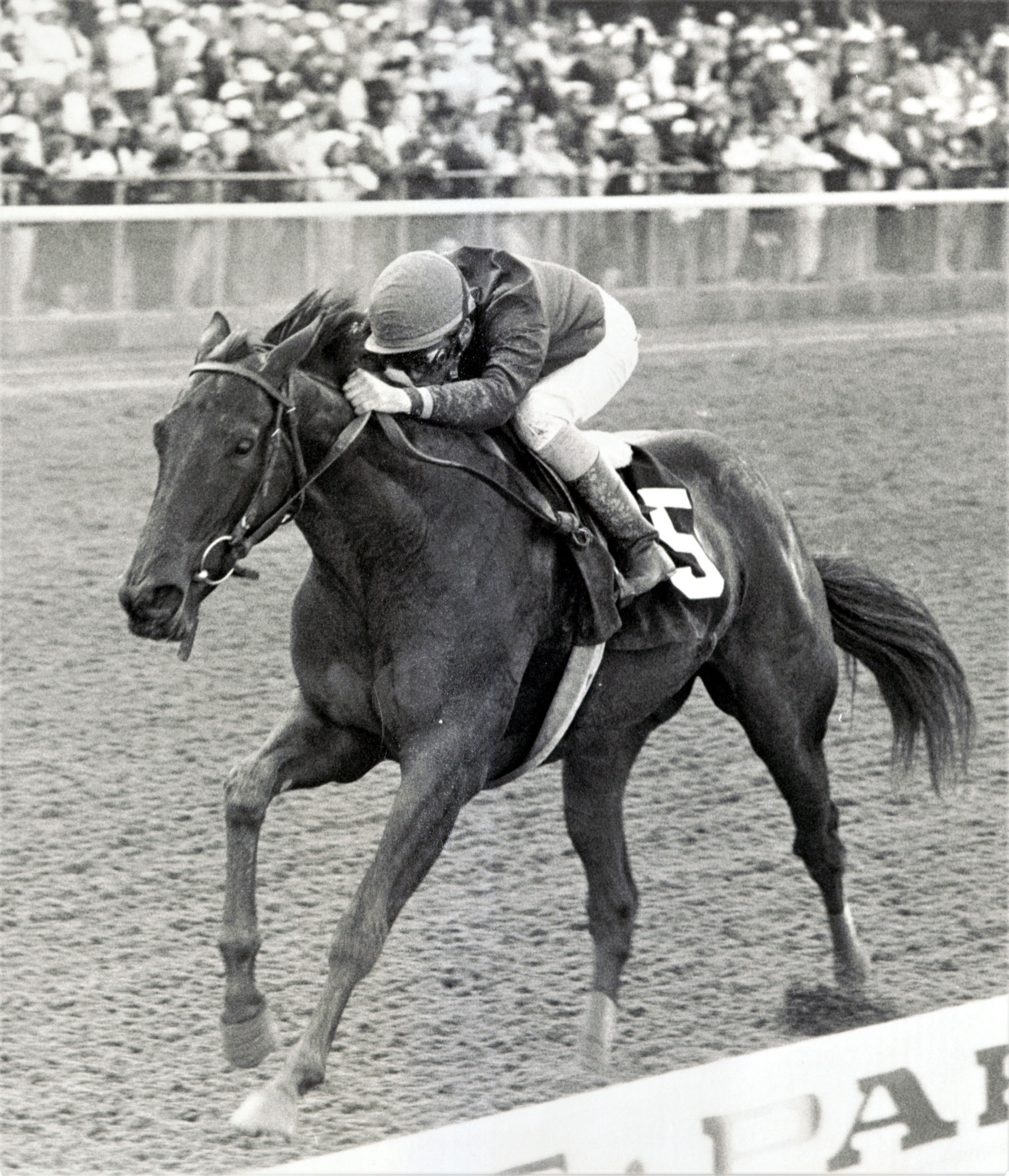 Heavenly Prize (Mike Smith up) wins the 1993 Frizette Stakes at Belmont Park (Keeneland Library Thoroughbred Times Collection)