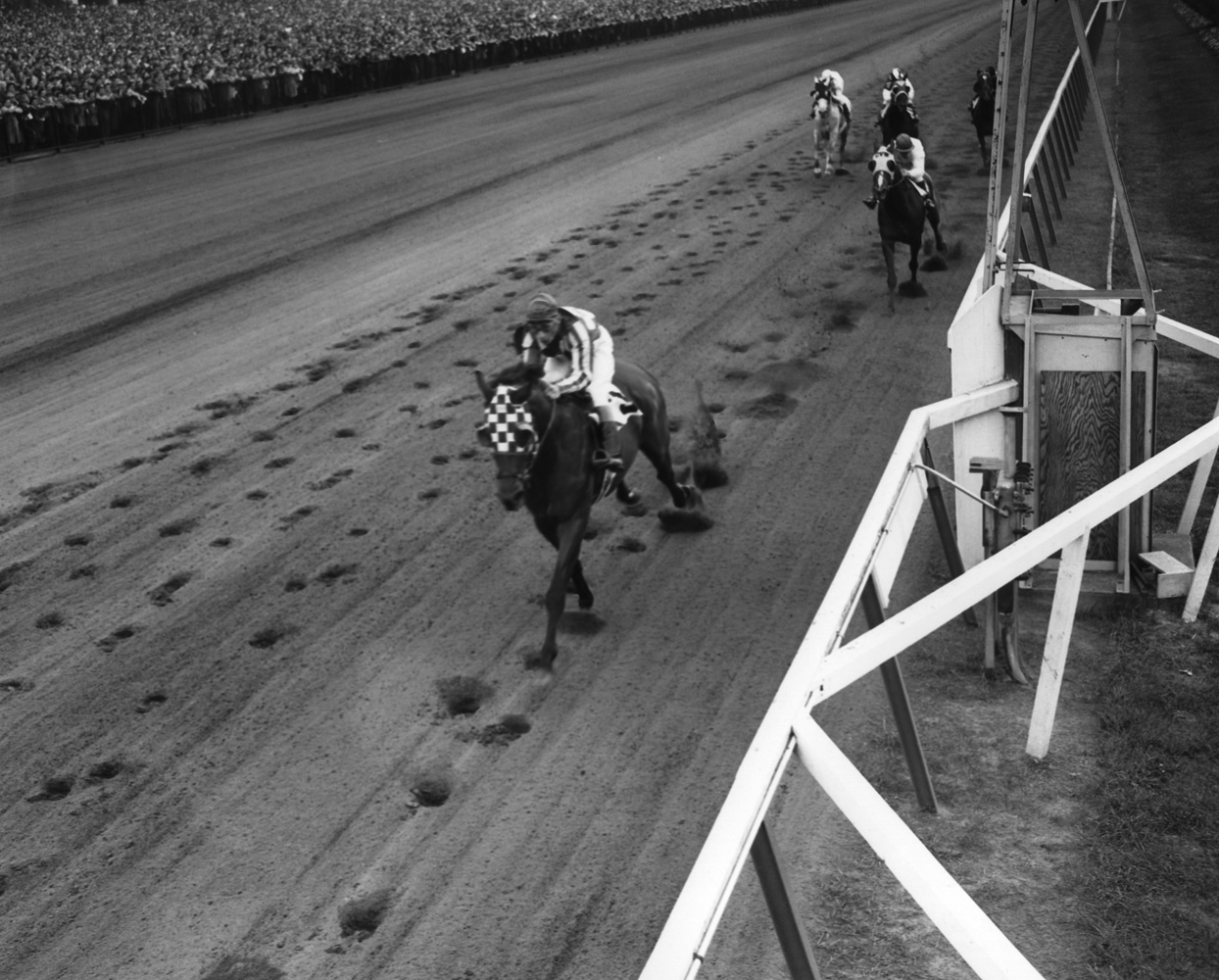 Hill Prince (Eddie Arcaro up) winning the 1950 Jockey Club Gold Cup at Belmont (Keeneland Library Morgan Collection/Museum Collection)