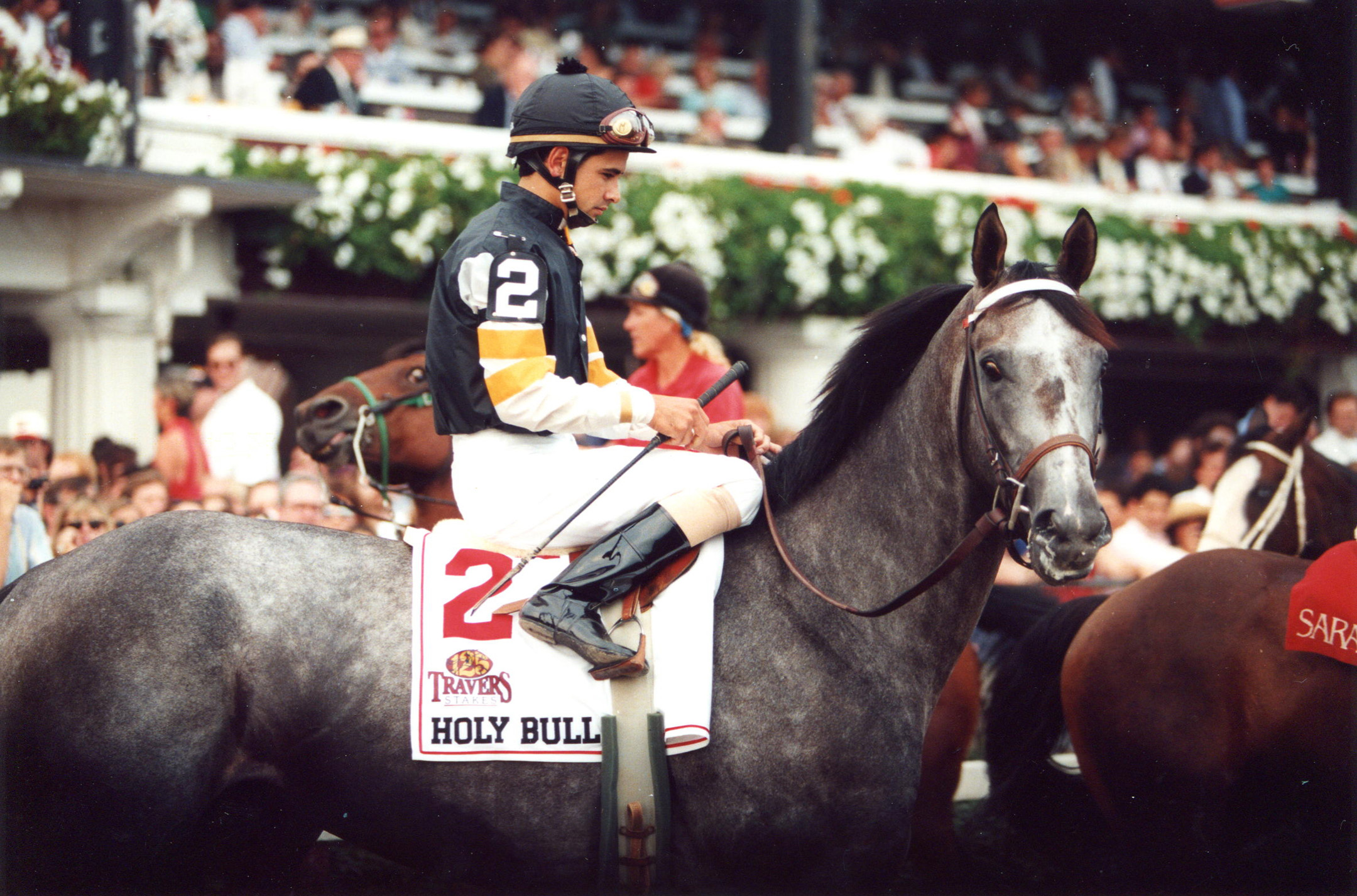 Holy Bull (Mike Smith up) entering the track for the 1994 Travers at Saratoga (Barbara D. Livingston/Museum Collection)