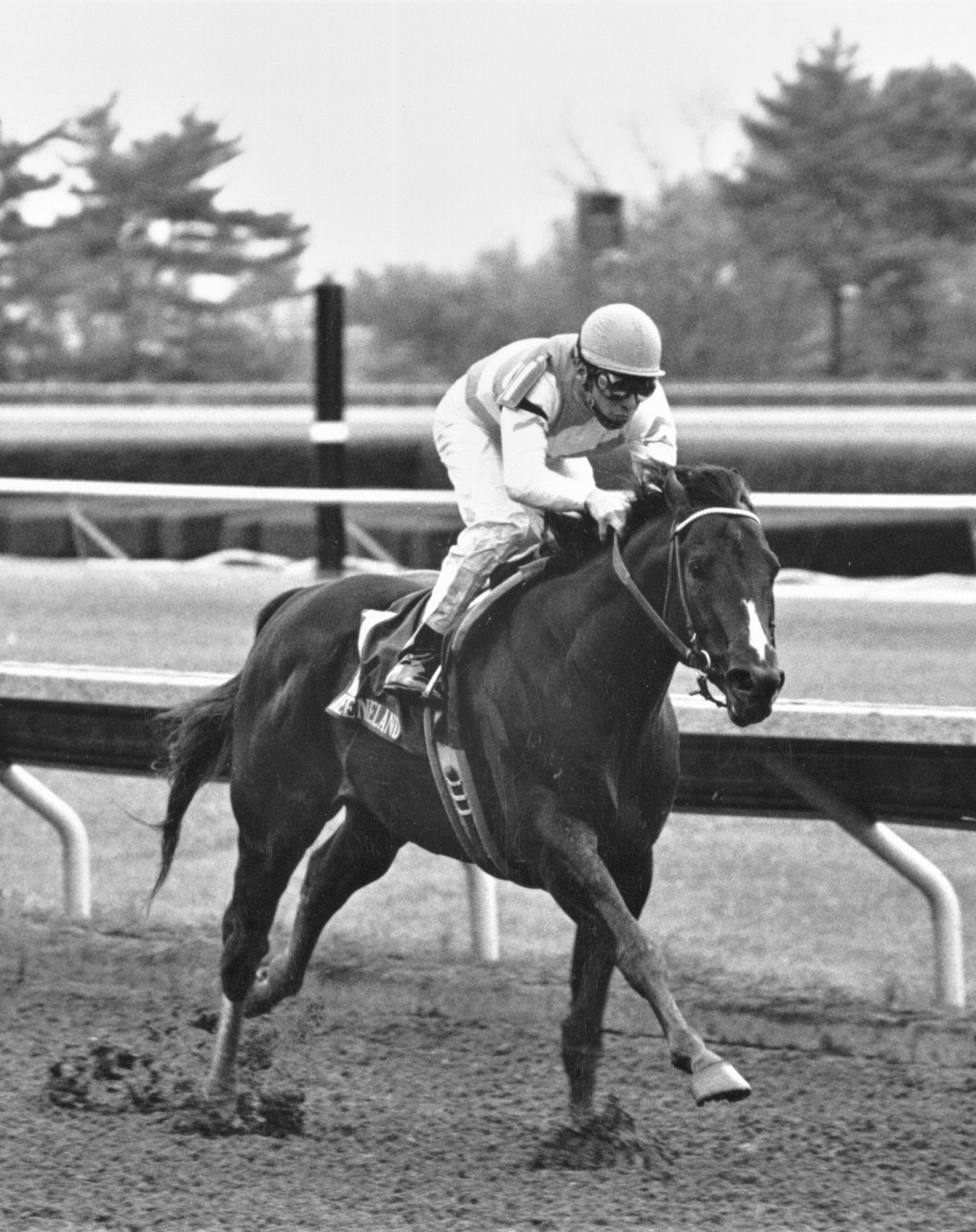 Housebuster (Craig Perret up) racing to victory in the 1990 Lafayette Stakes at Keeneland (Keeneland Association Bill Straus)