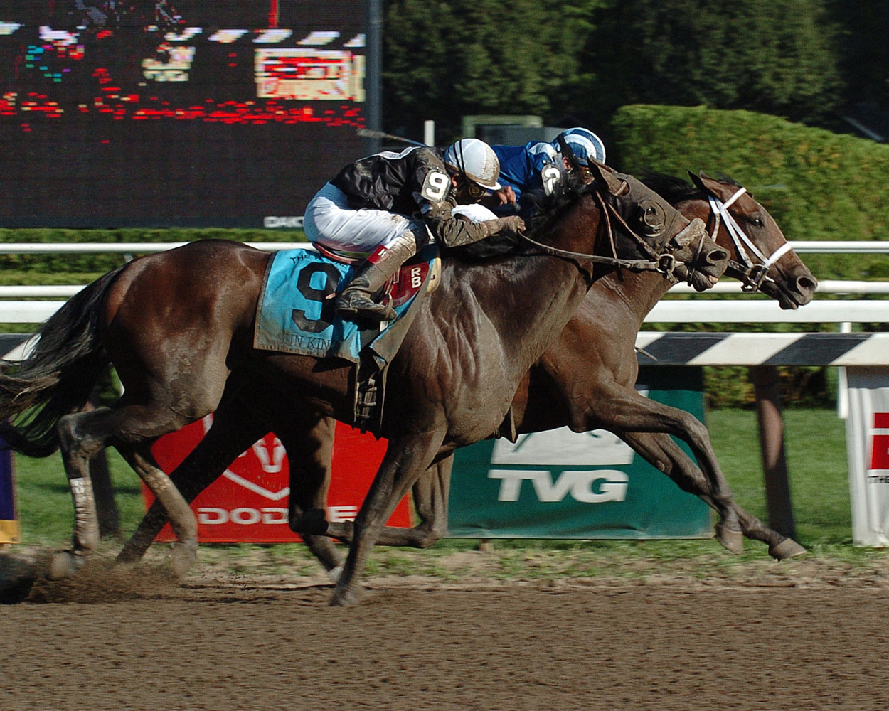 Invasor (Fernando Jara up) at the finish, winning the 2006 Whitney by a nose (NYRA)