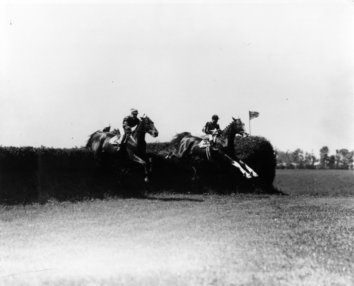 Jolly Roger soaring over a jump in the 1928 Corinthian Steeplechase at Belmont Park (Keeneland Library Cook Collection/Museum Collection)