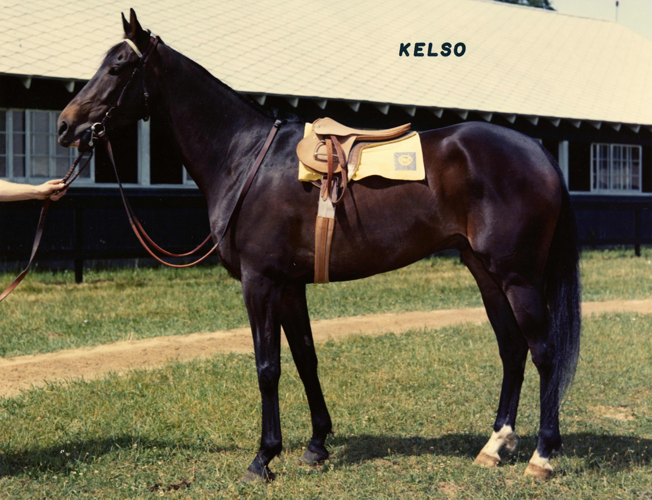 Undated conformation shot of Kelso (Museum Collection)