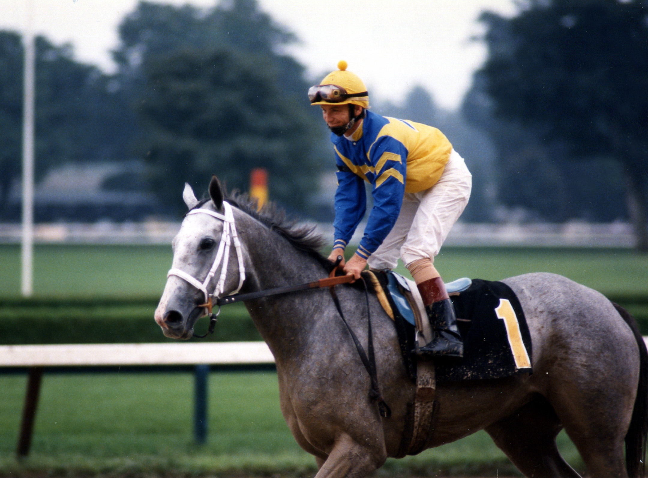 Lady's Secret (Pat Day up) on the track for the 1986 Whitney at Saratoga (Barbara D. Livingston/Museum Collection)