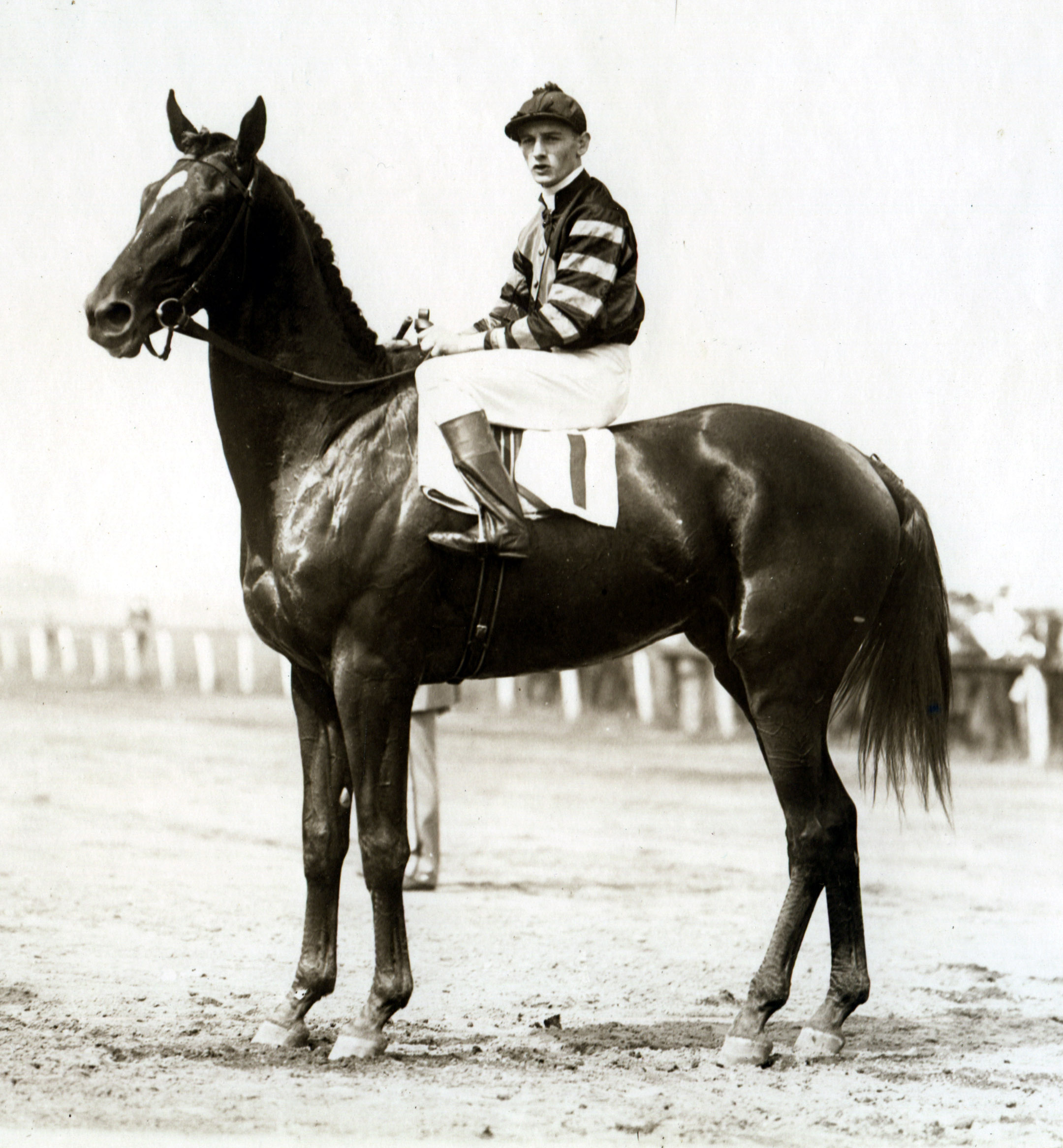 Man o' War at 2 with John Loftus up (C.C. Cook/Museum Collection)