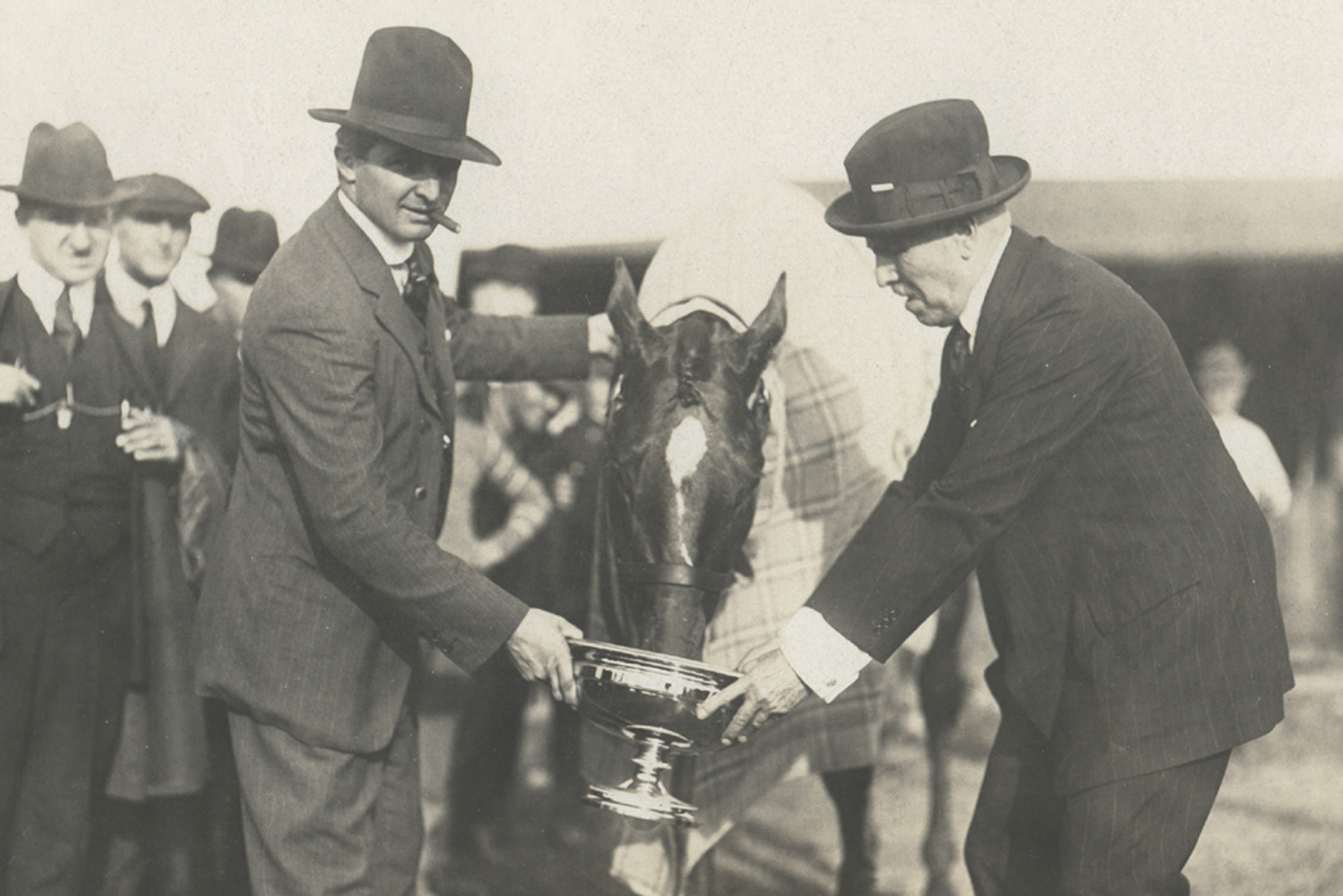 Man o' War celebrates winning his final career race with trainer Louis Feustel and owner Samuel Riddle by drinking from the Kenilworth Gold Cup trophy after defeating Sir Barton (Museum Collection)
