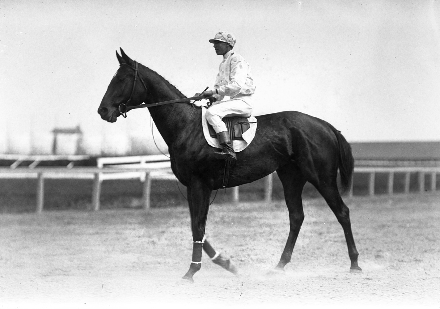 Maskette with Scoville up, 1909 (Keeneland Library Cook Collection)