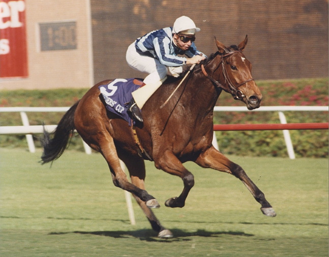 Miesque winning the 1987 Breeders' Cup Mile at Hollywood Park (Hollywood Park Photo/Museum Collection)