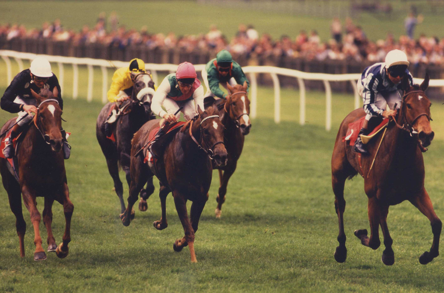 Miesque (Freddy Head up) winning the 1987 One Thousand Guineas Stakes at Newmarket (Trevor Jones/Museum Collection)