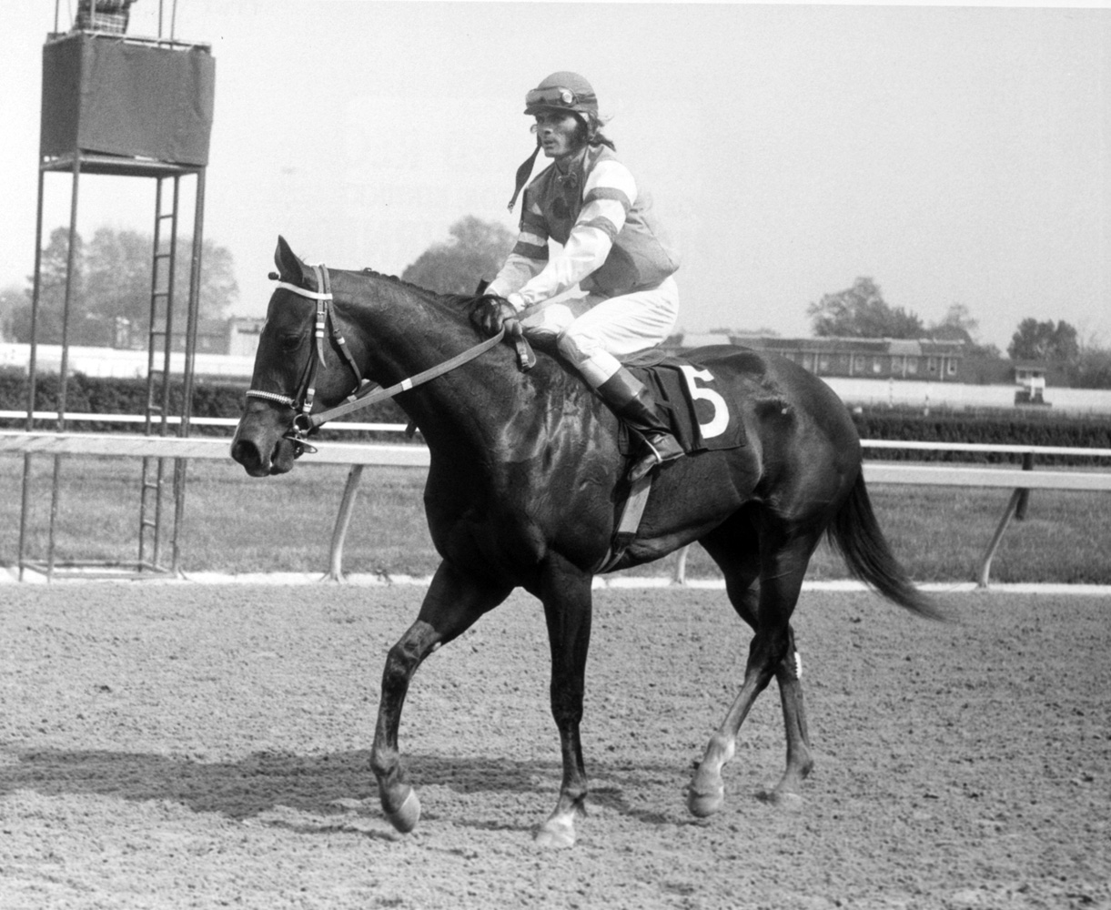 My Juliet (Alan Hill up) after winning the 1975 Black Eyed Susan Stakes at Pimlico (Keeneland Library Thoroughbred Times Collection)