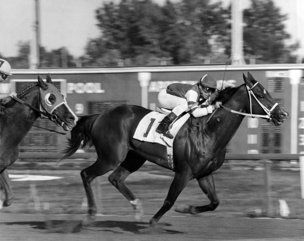My Juliet (Tony Black up) winning the 1977 Michigan Mile at Detroit Race Course, her last career win (Keeneland Library Thoroughbred Times Collection)