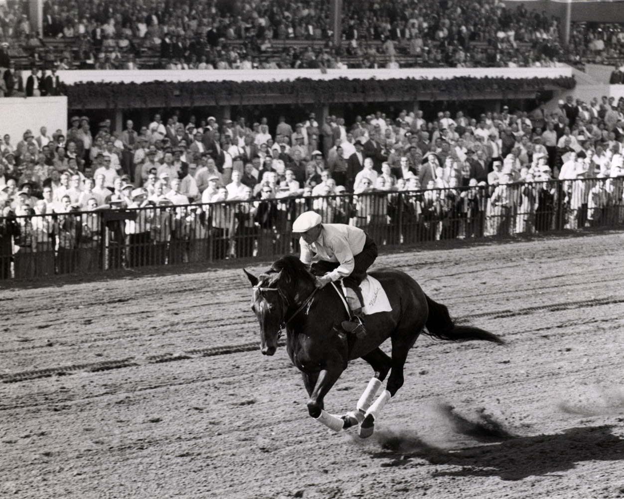 Nashua being exercised at Hialeah, March 1955 (Museum Collection)