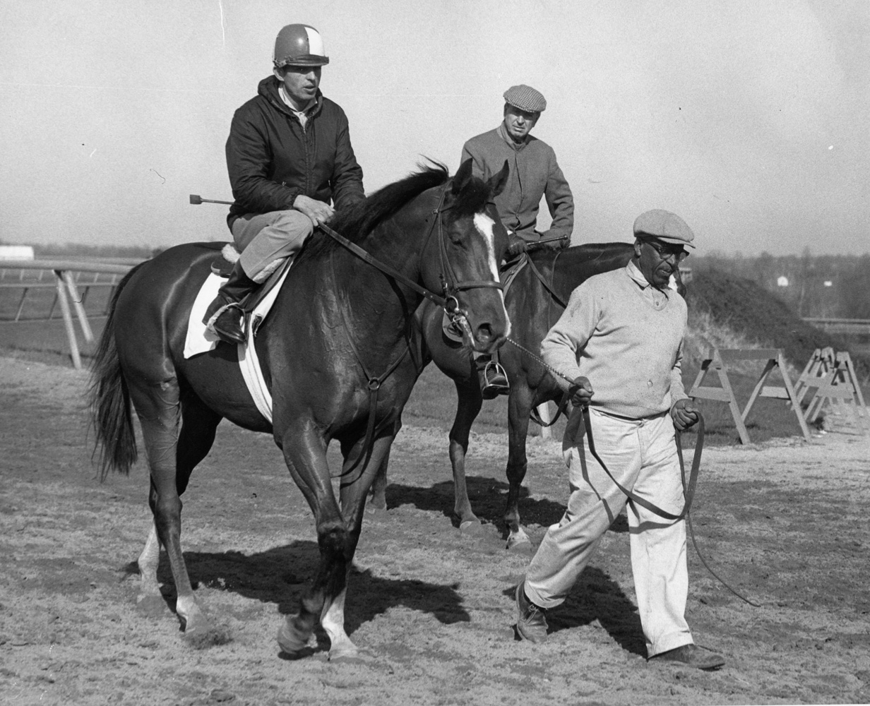 Northern Dancer in training with Hall of Fame trainer Horatio Luro on the pony nearby, April 1964 (Museum Collection)