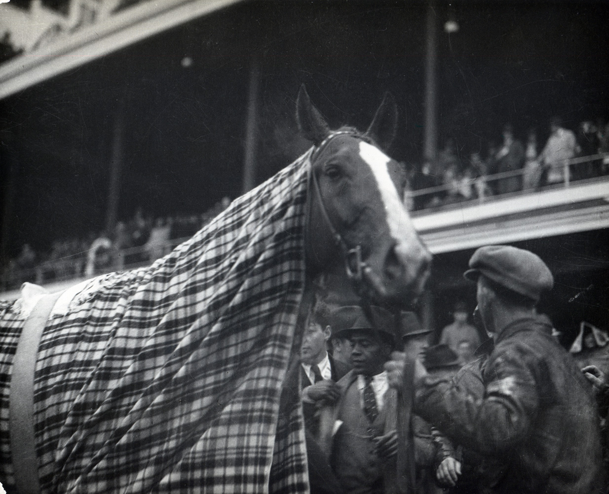 Omaha cooling down after a race in 1935 (Caulfield & Shook/Museum Collection)