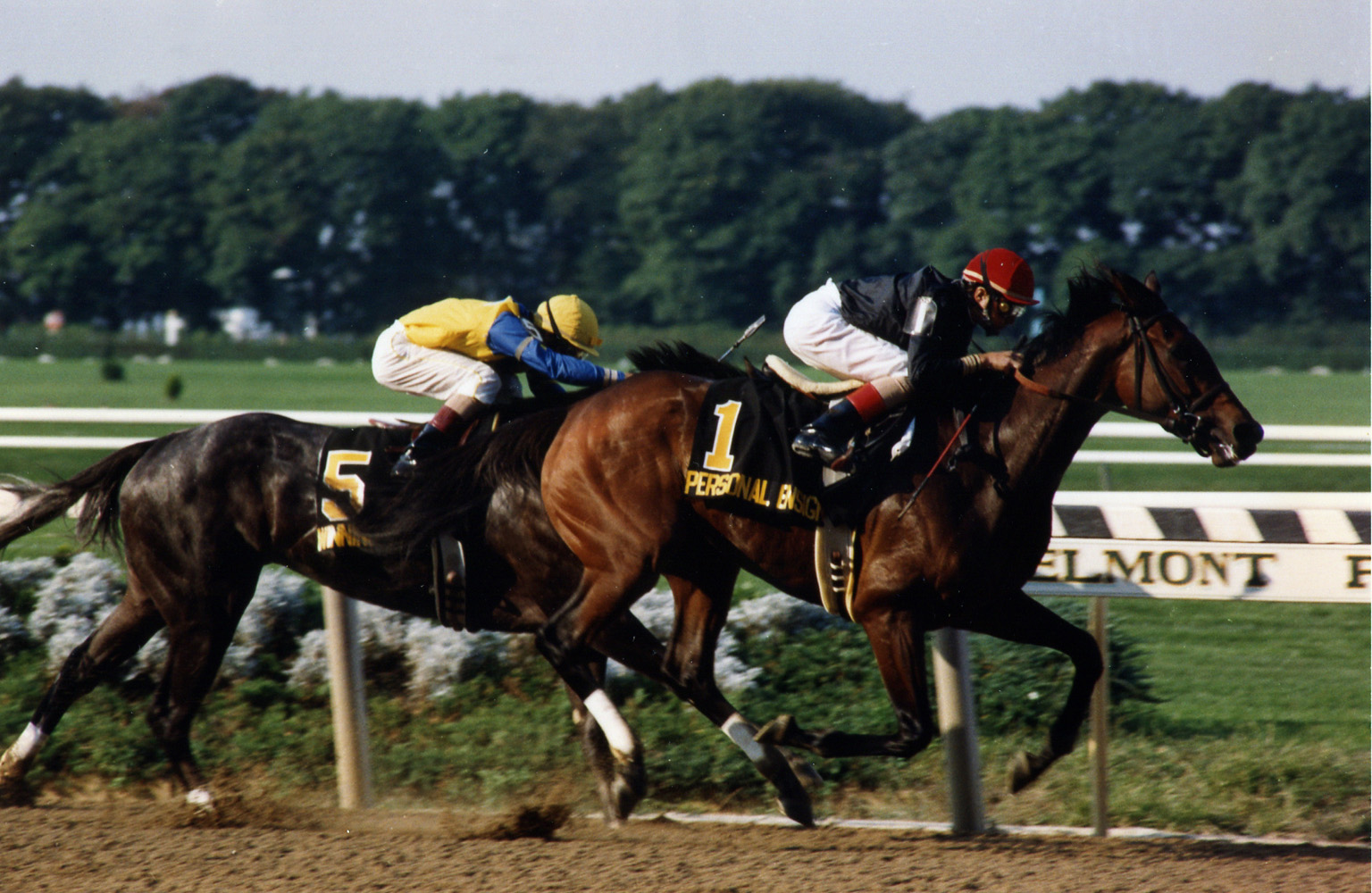 Personal Ensign (Randy Romero) defeating Winning Colors in the 1988 Maskette (Barbara D. Livingston/Museum Collection)