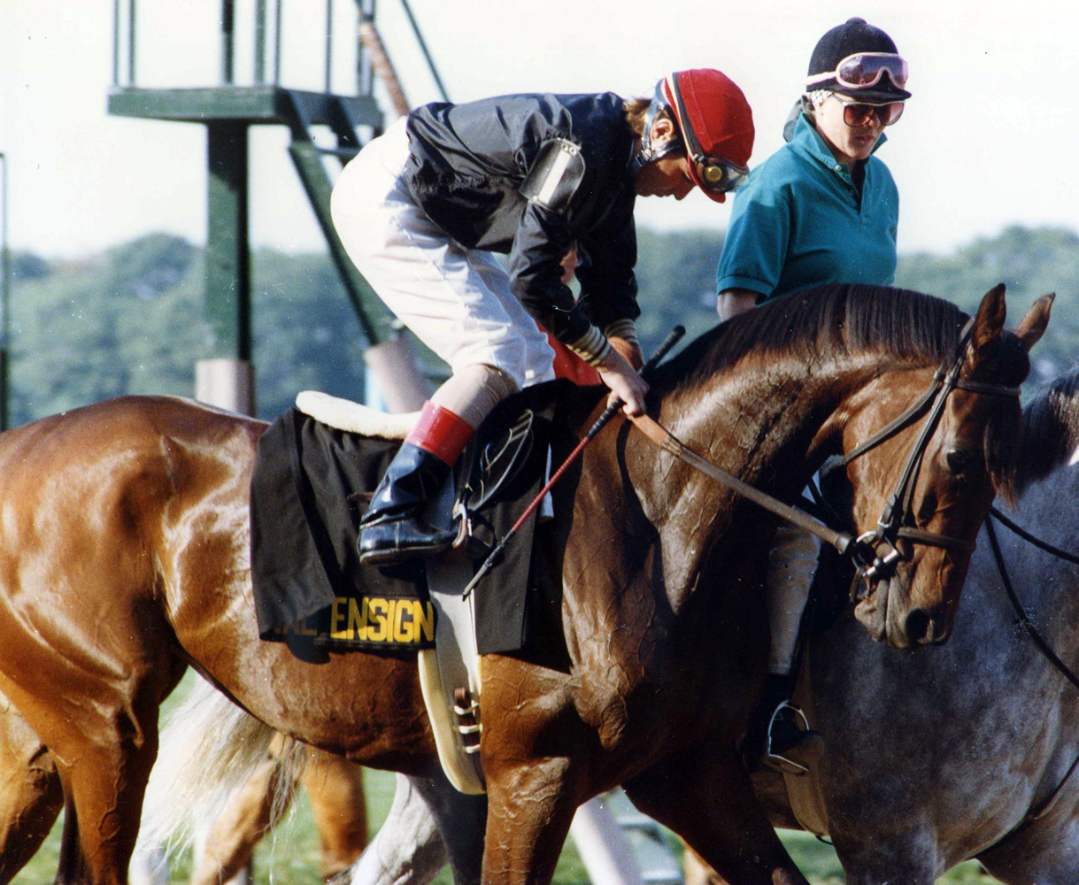 Personal Ensign (Randy Romero up) at Belmont Park for the 1988 Maskette (Barbara D. Livingston/Museum Collection)