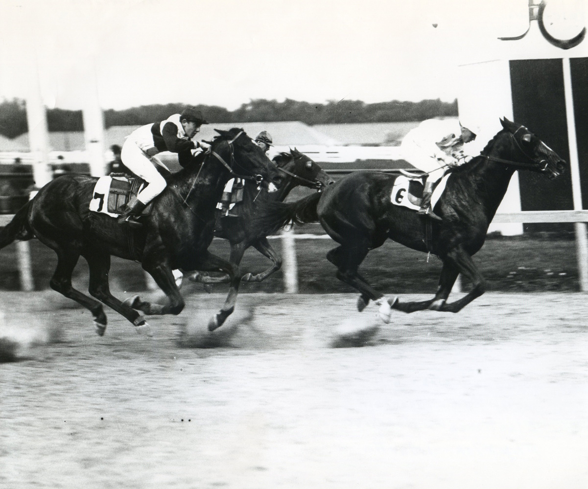 Peter Pan (J. Mountain up) winning the 1907 Standard Stakes (Keeneland Library Cook Collection/Museum Collection)