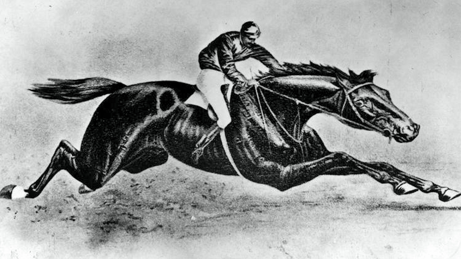 An illustration of Preakness (Keeneland Library Collection)