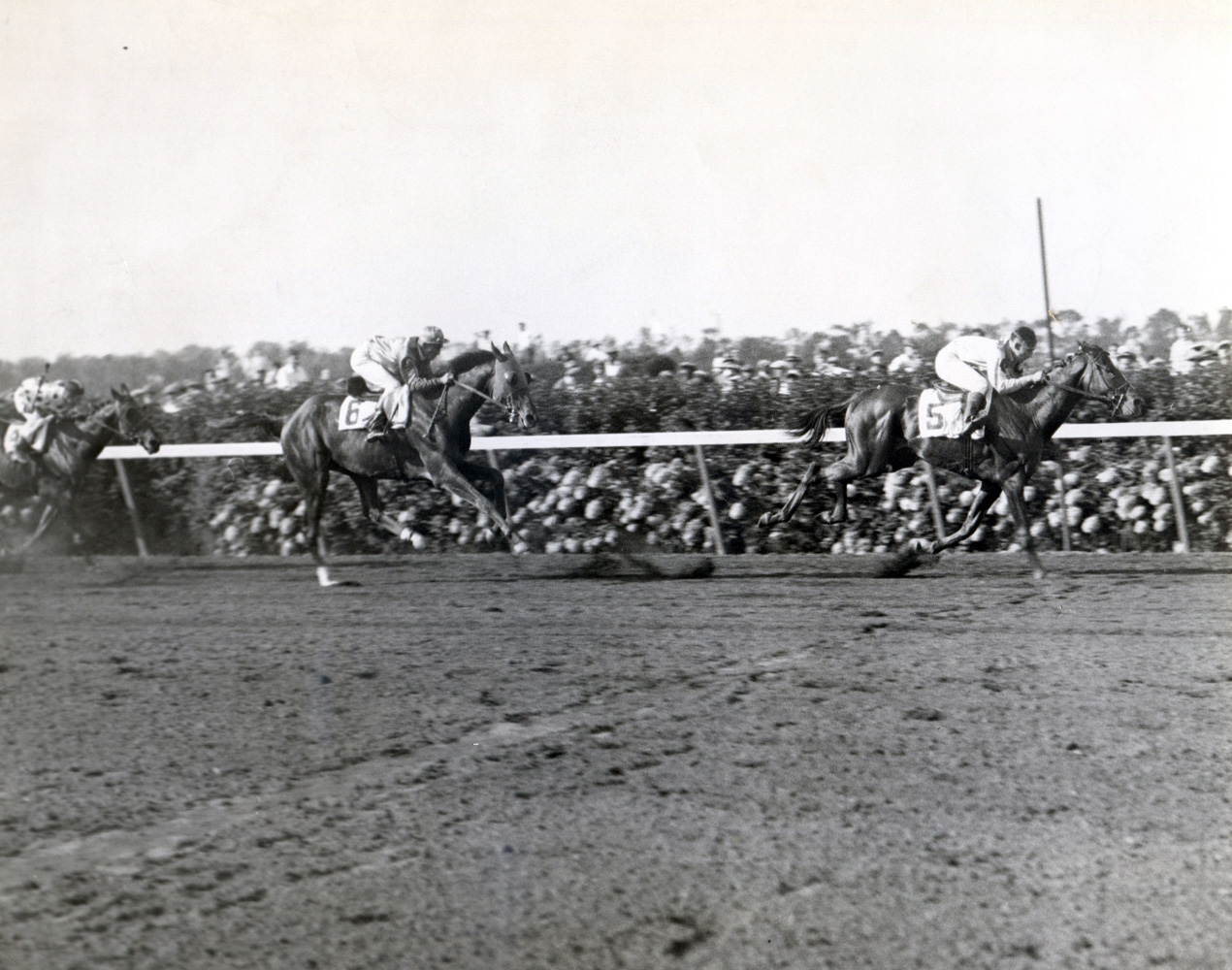 Reigh Count (Chick Lang up) winning the 1928 Lawrence Realization at Belmont Park (Fotograms/Museum Collection)