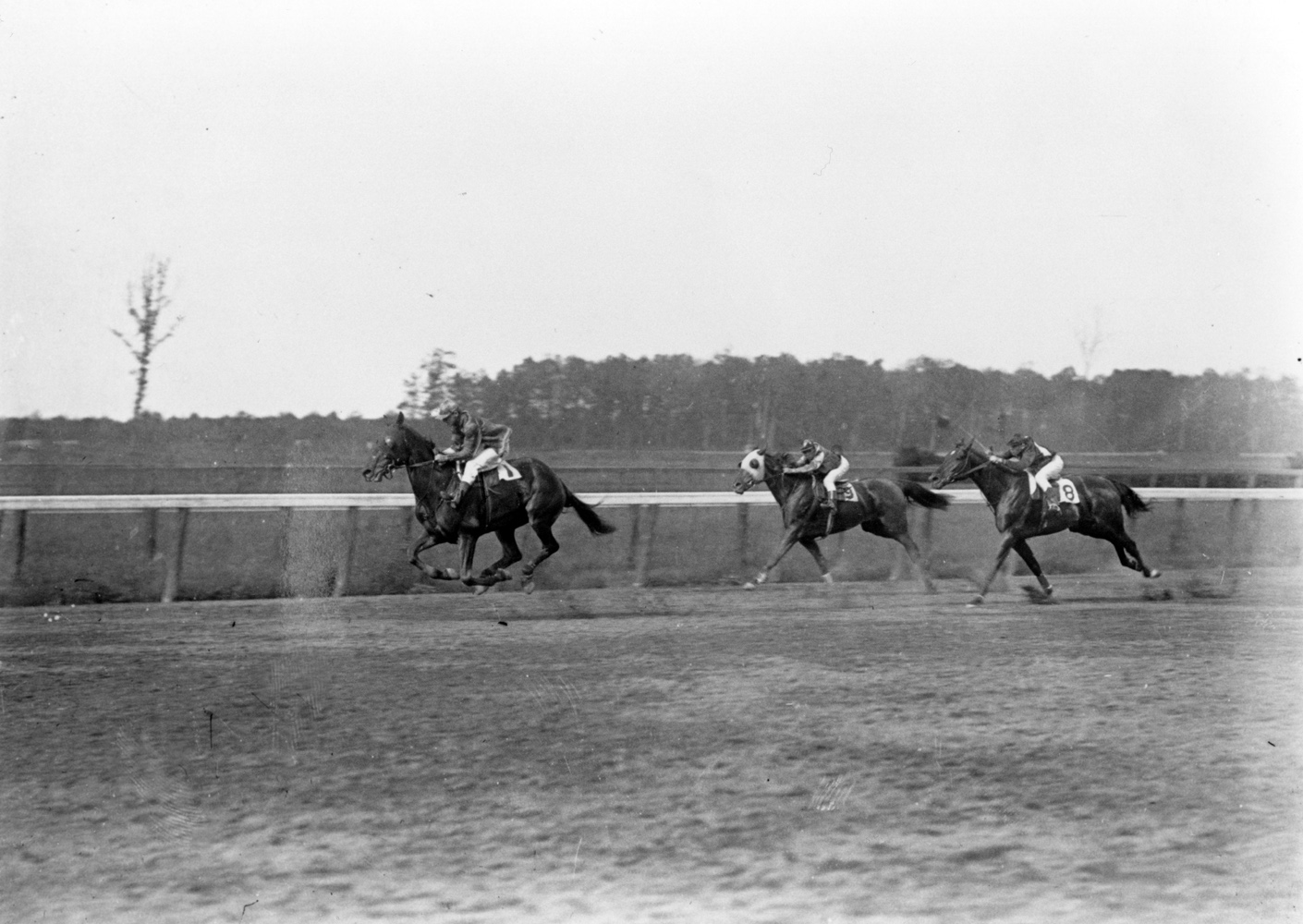 Roseben (J. McIntyre up) winning a race at Belmont Park in May 1909, his final career win (Keeneland Library Cook Collection/Museum Collection)