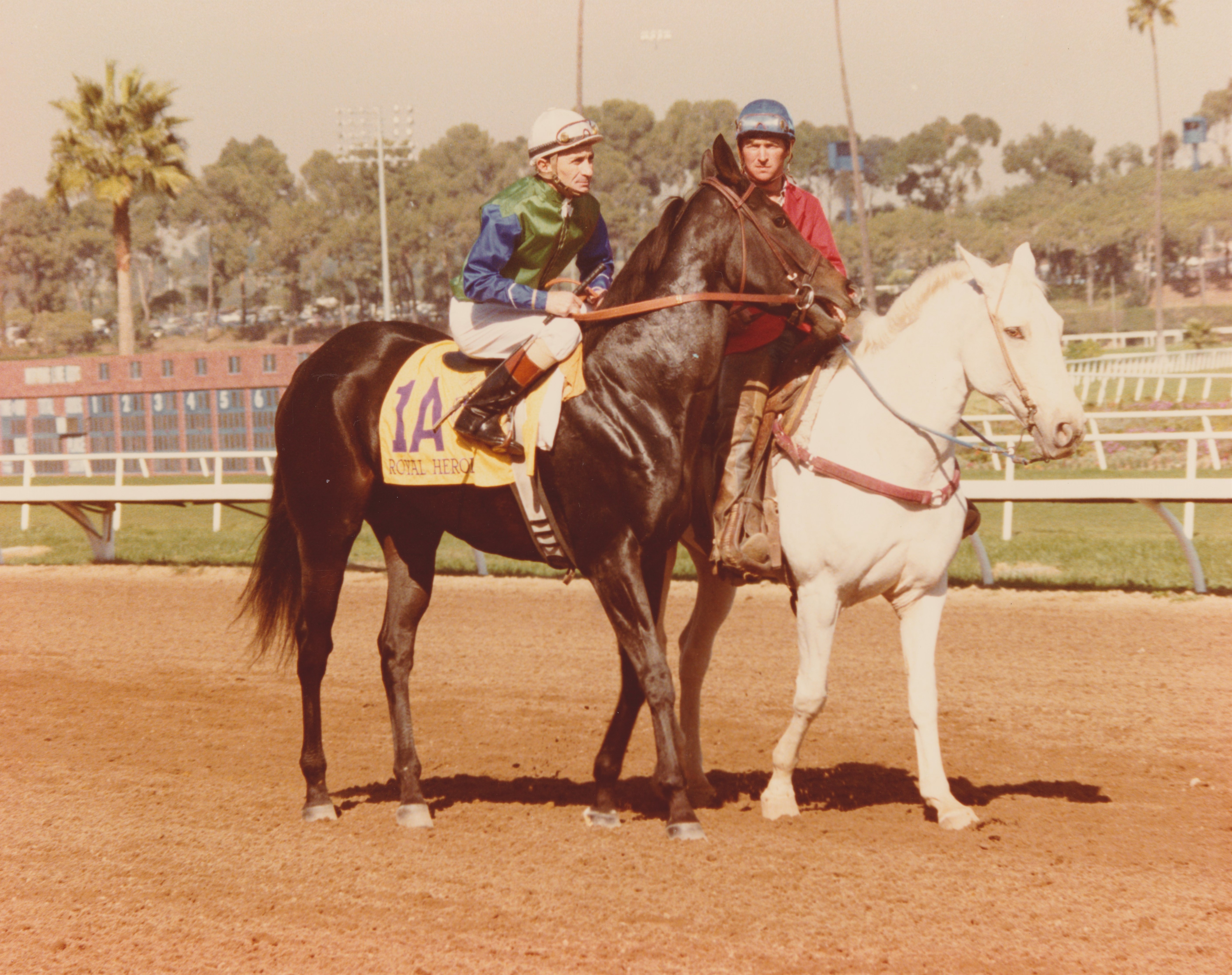 Royal Heroine, Fernando Toro up, heading to the post for the 1984 Breeders' Cup Mile (Hollywood Park)