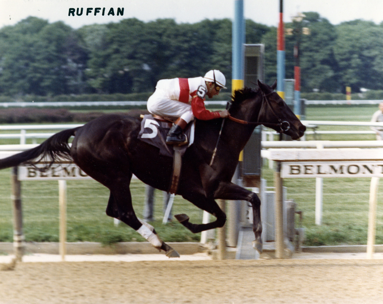 Ruffian (Jacinto Vasquez up) winning the 1975 Coaching Club American Oaks at Belmont Park (NYRA/Museum Collection)