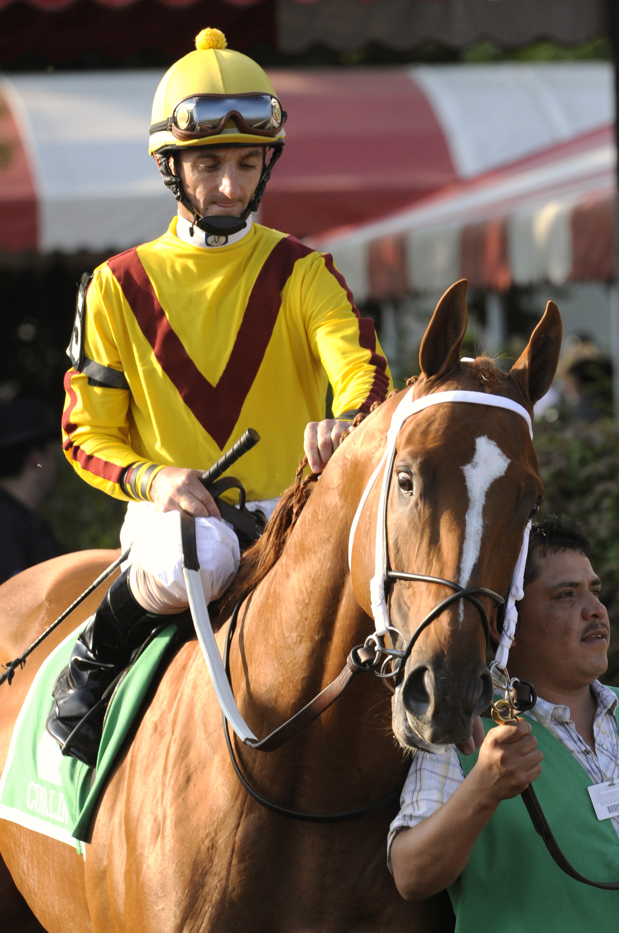 Curlin, Robby Albarado up, at Saratoga Race Course, 2008 (Skip Dickstein)