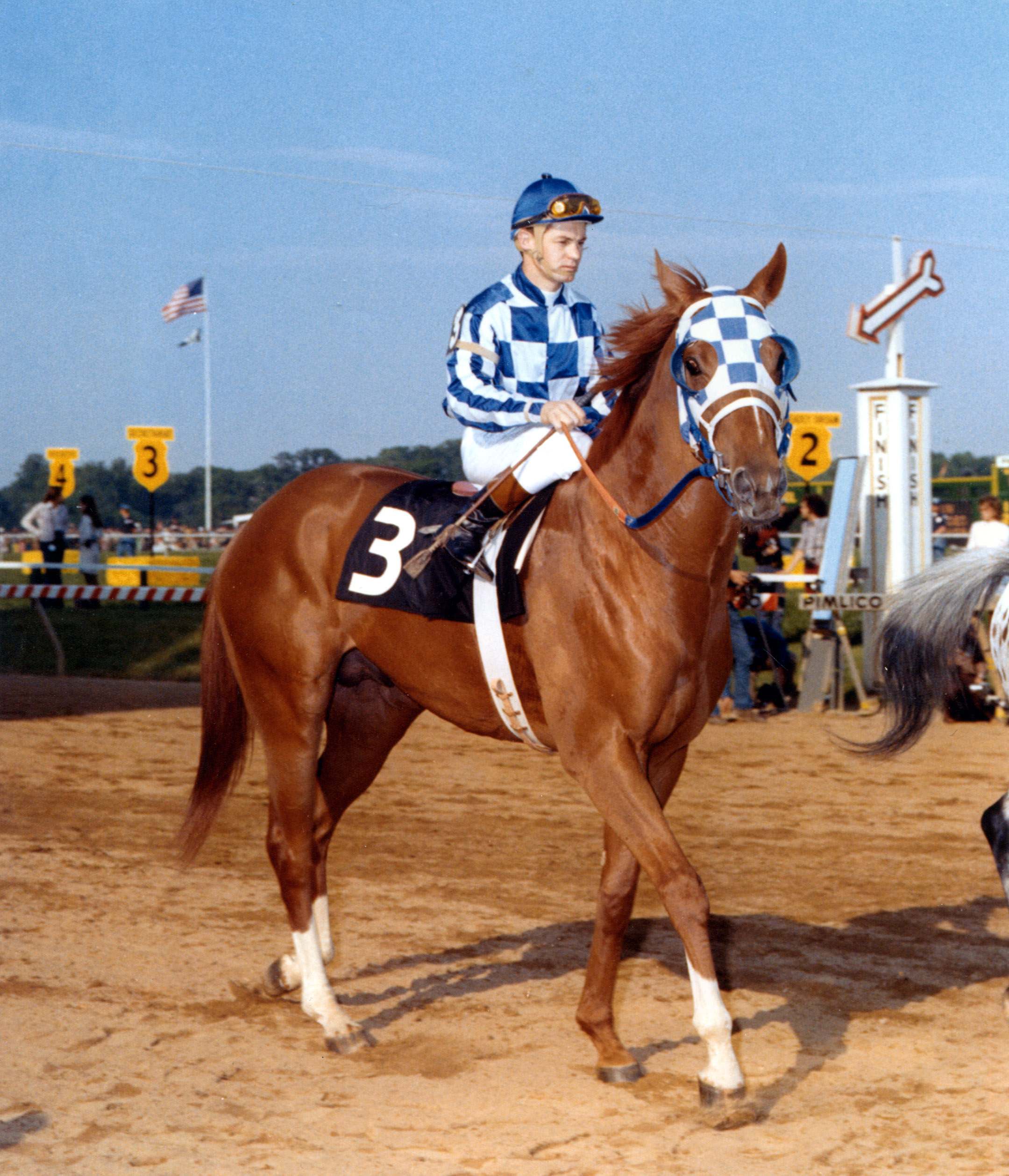 Secretariat (Ron Turcotte up) during the post parade for the 1973 Preakness Stakes (Museum Collection)