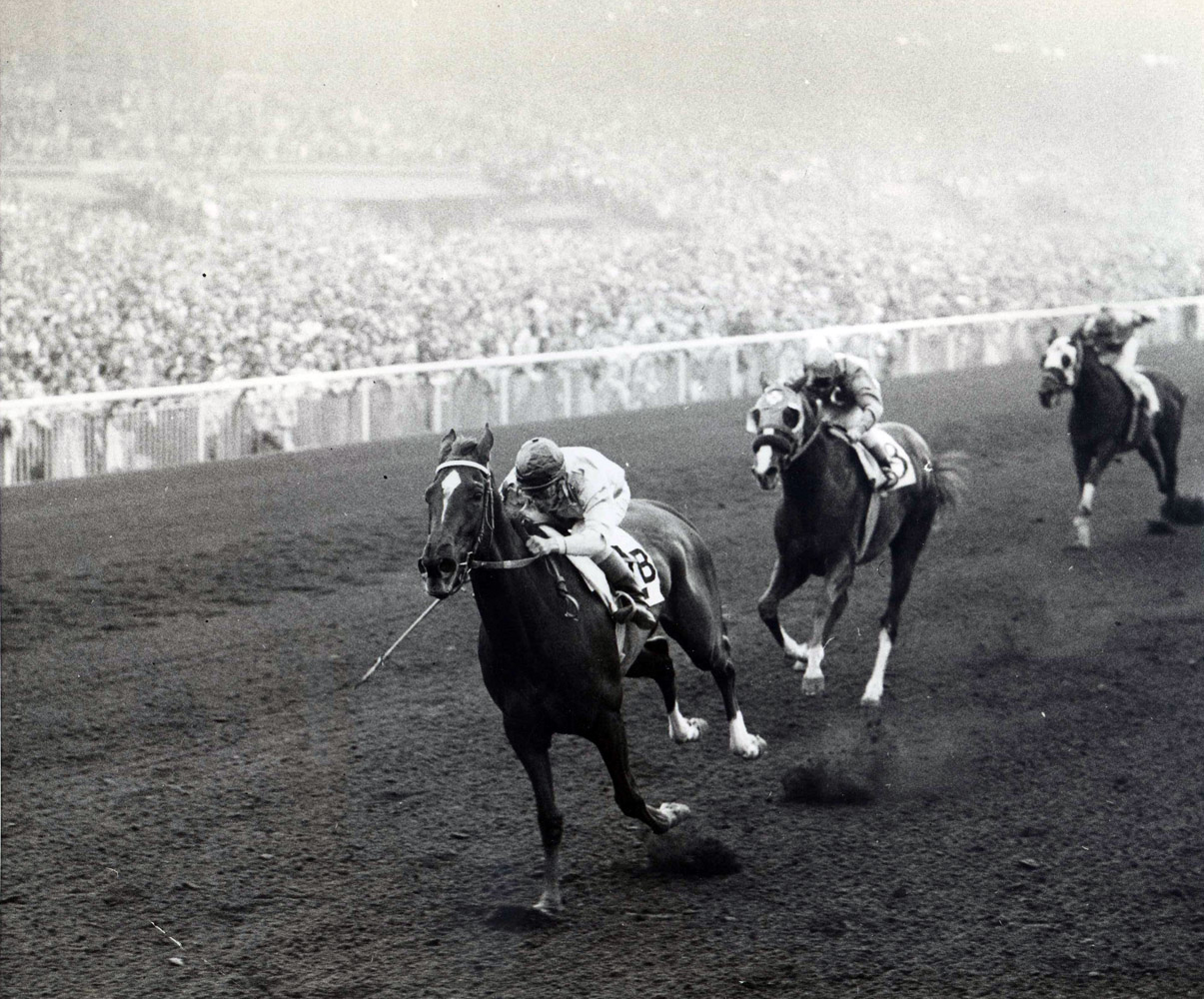 Silver Spoon (Ray York up) winning the 1959 Santa Anita Derby (UPI Telephoto/Museum Collection)