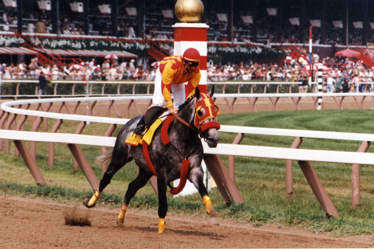 Skip Away (Jerry Bailey up) during a public workout at Saratoga, 1998 (Mike Pender/Museum Collection)