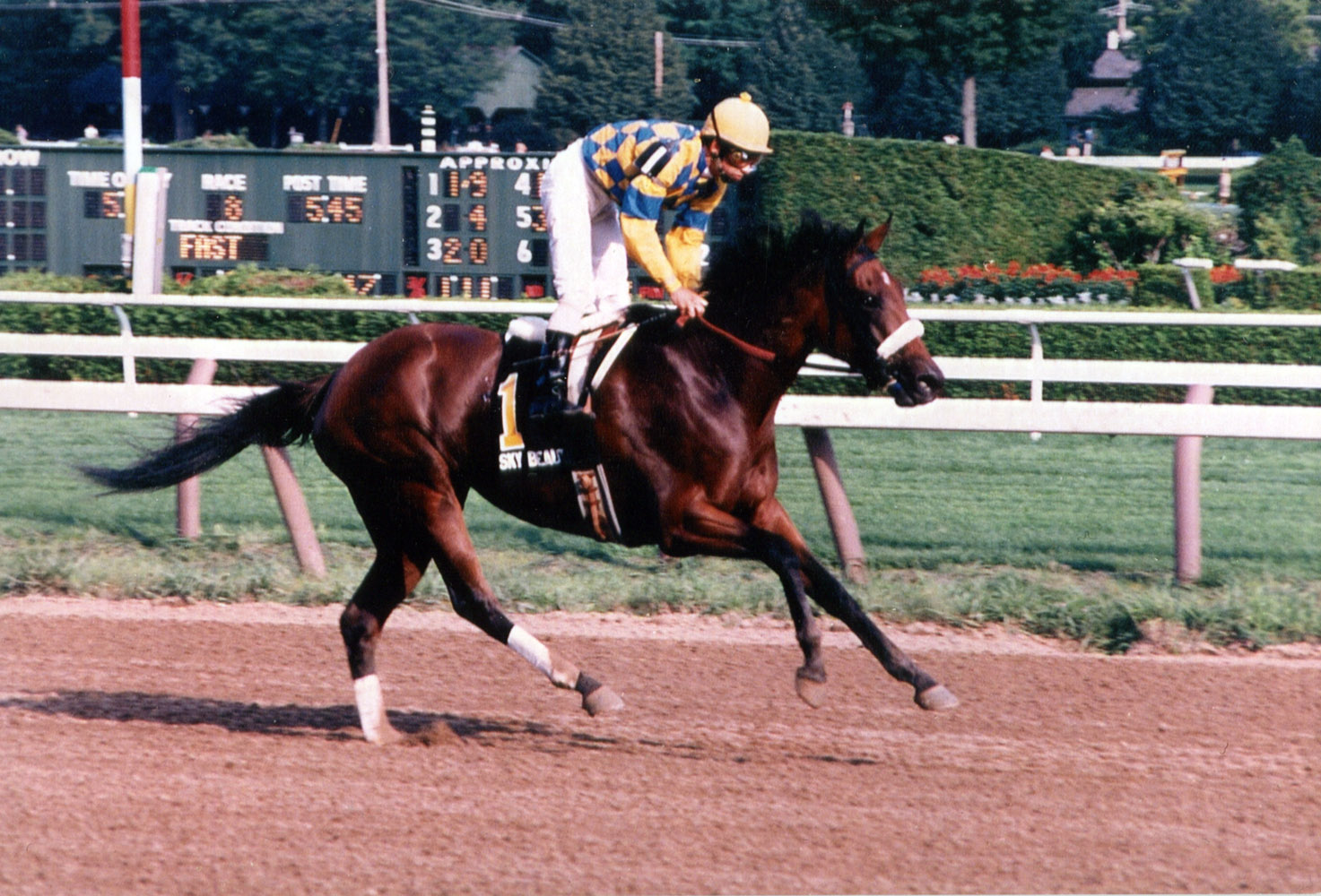 Sky Beauty (Mike Smith up) winning the 1993 Alabama at Saratoga (Mike Pender/Museum Collection)