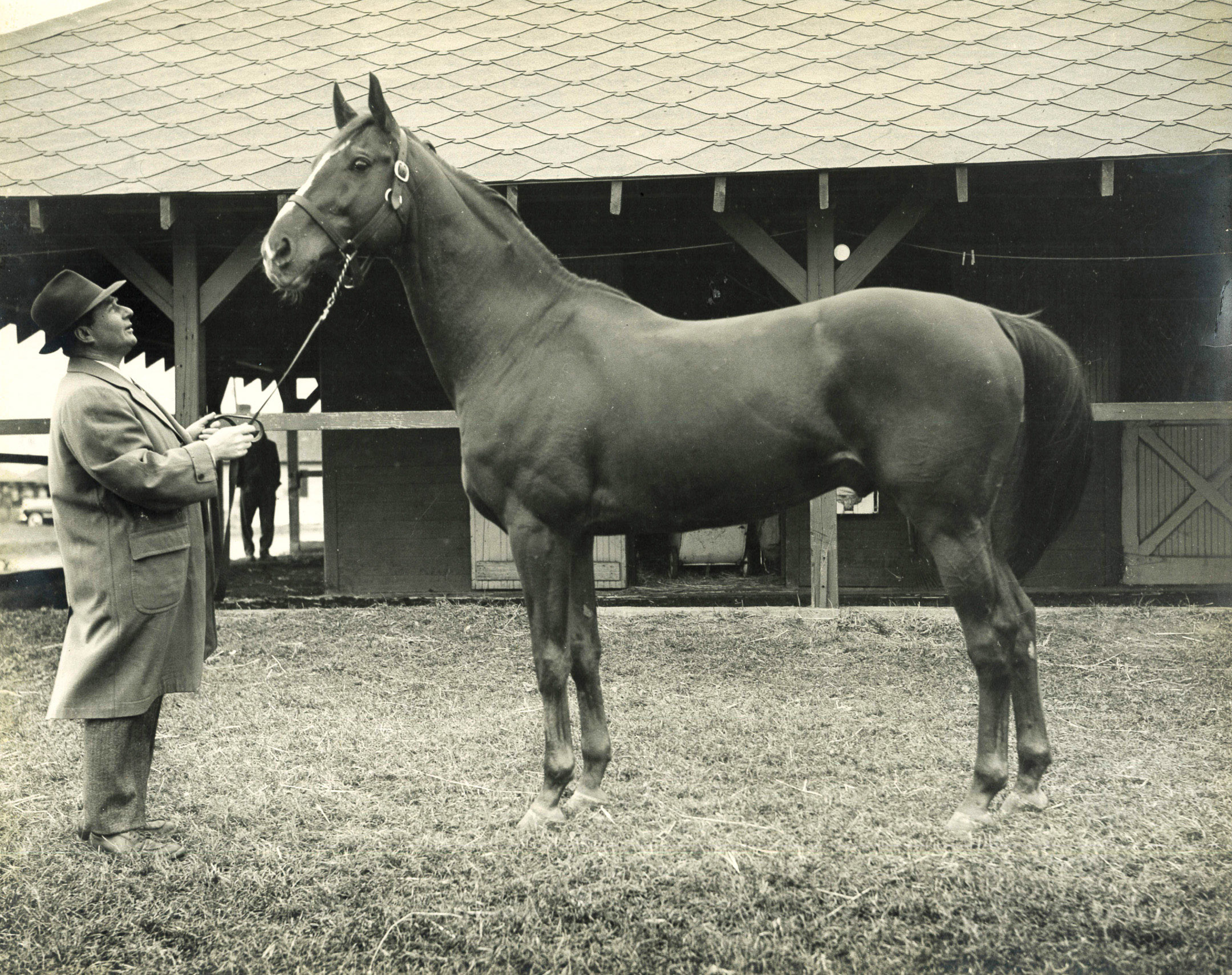 Stymie with trainer Hirsch Jacobs at Jamaica Racetrack in the late 1940s (Museum Collection)